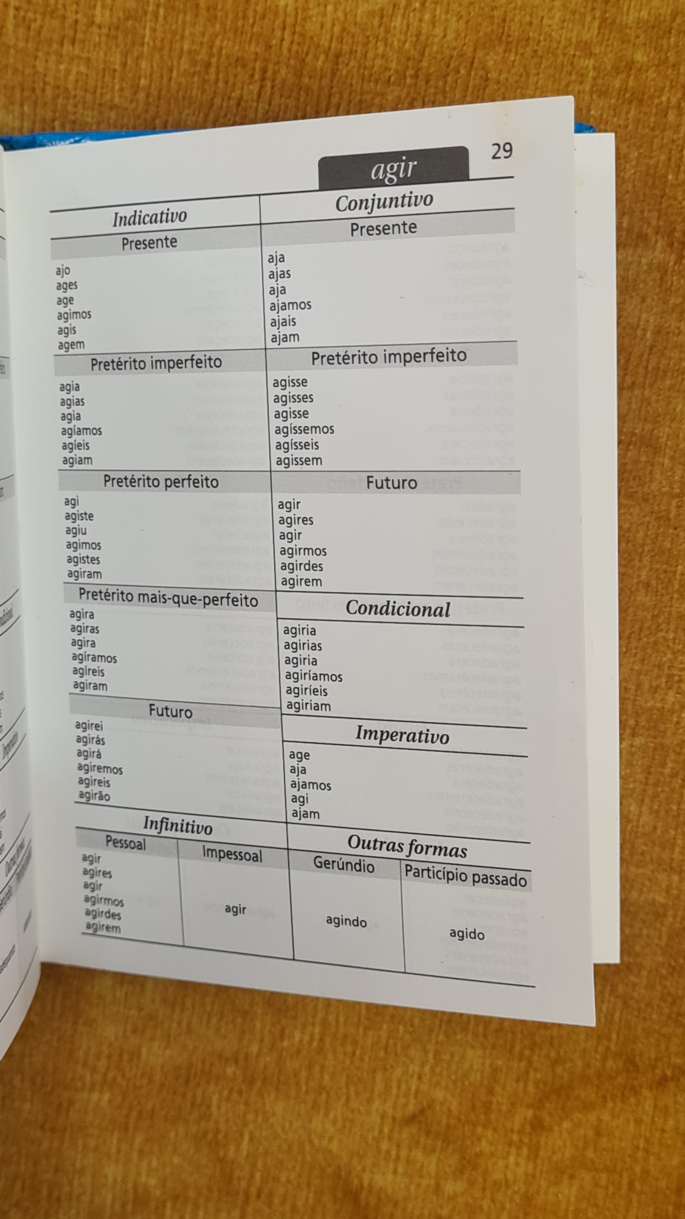 Dictionary of Portuguese Verbs