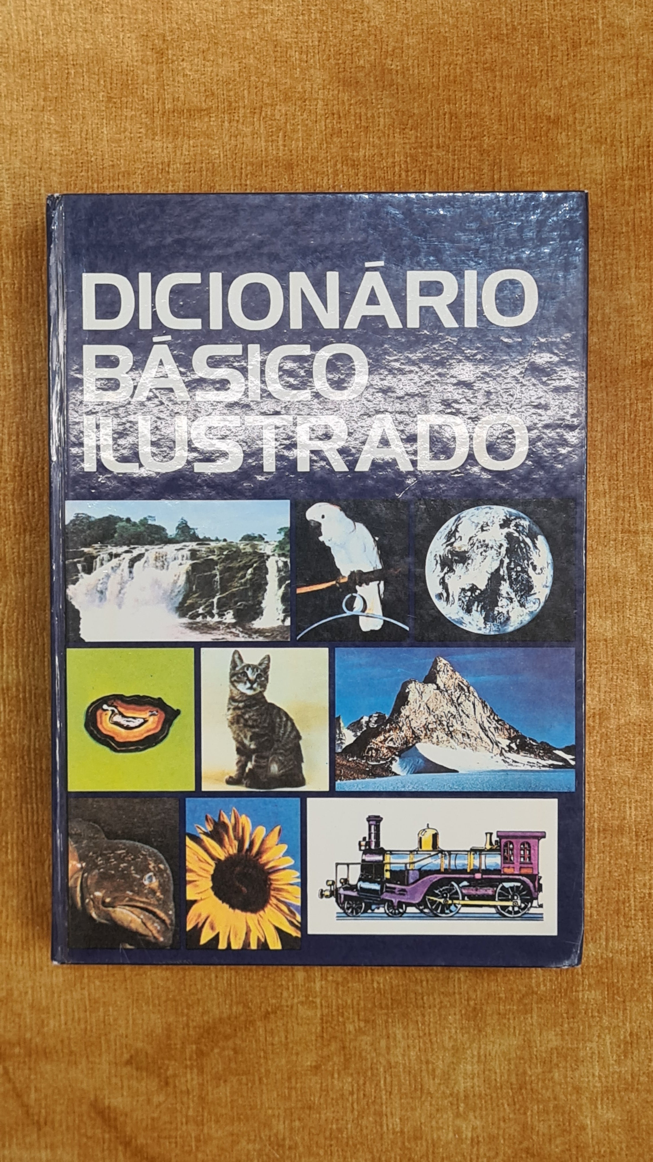 Dicionário básico ilustrado