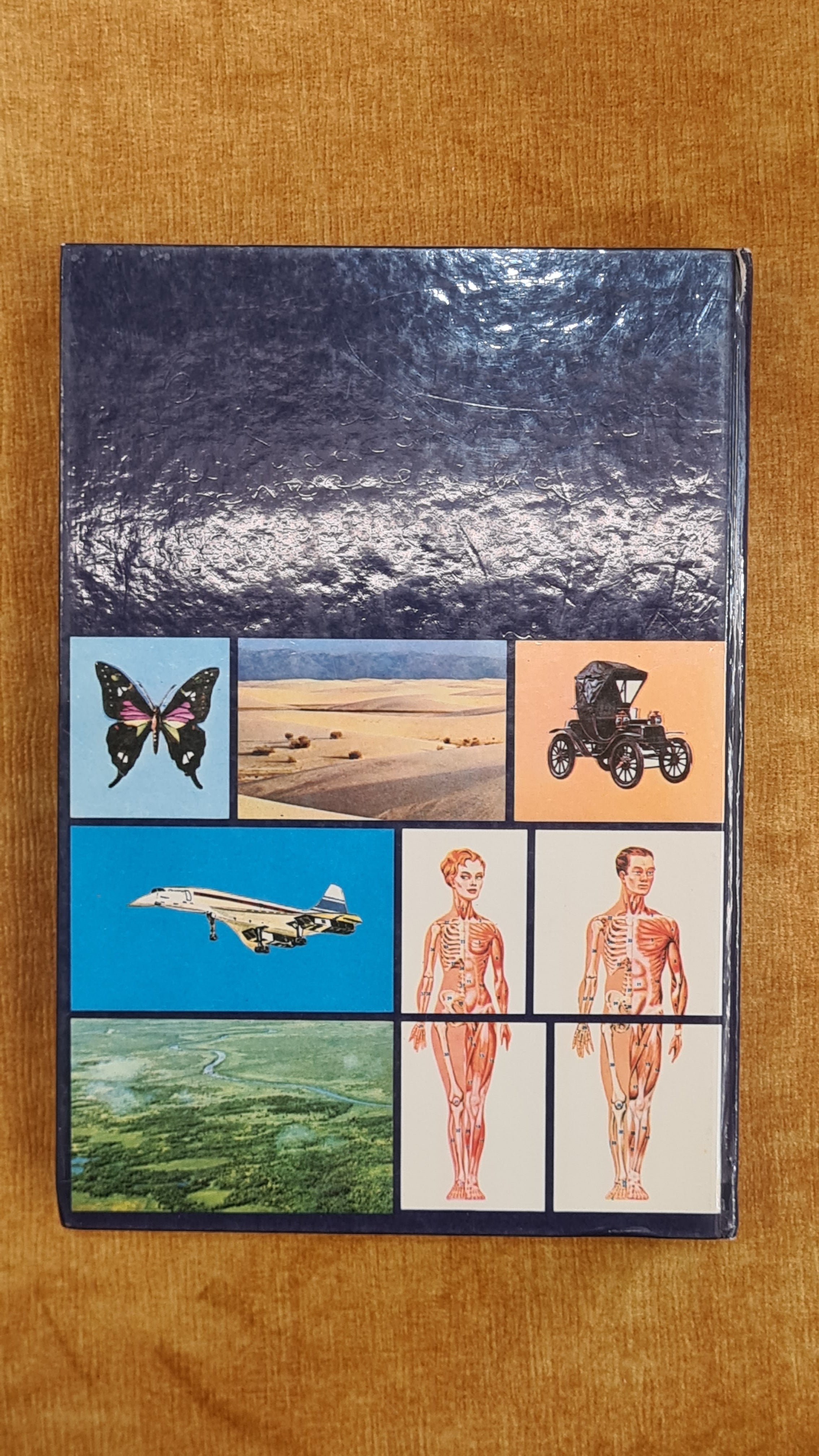 Dicionário básico ilustrado