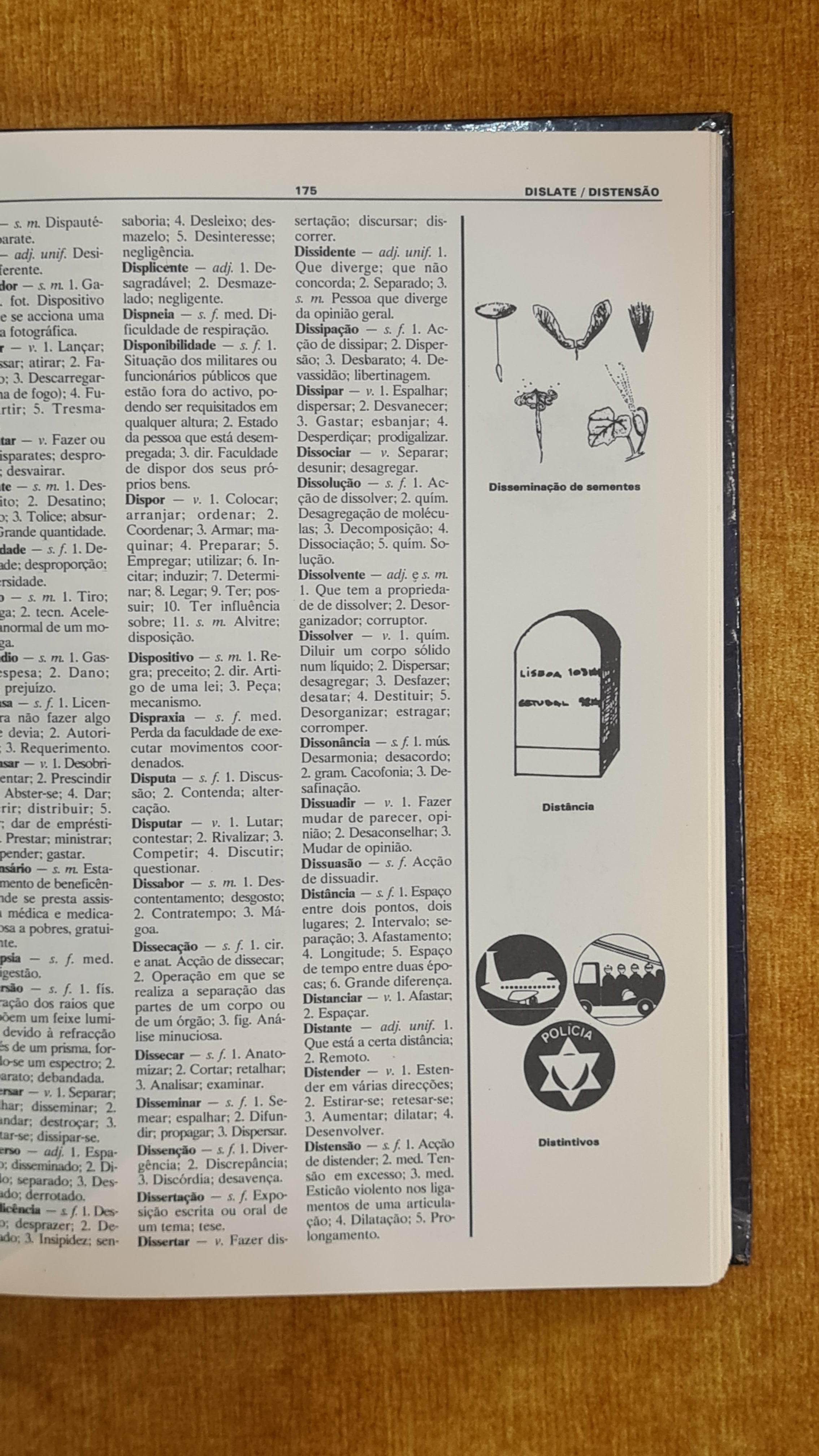 Dicionário básico ilustrado