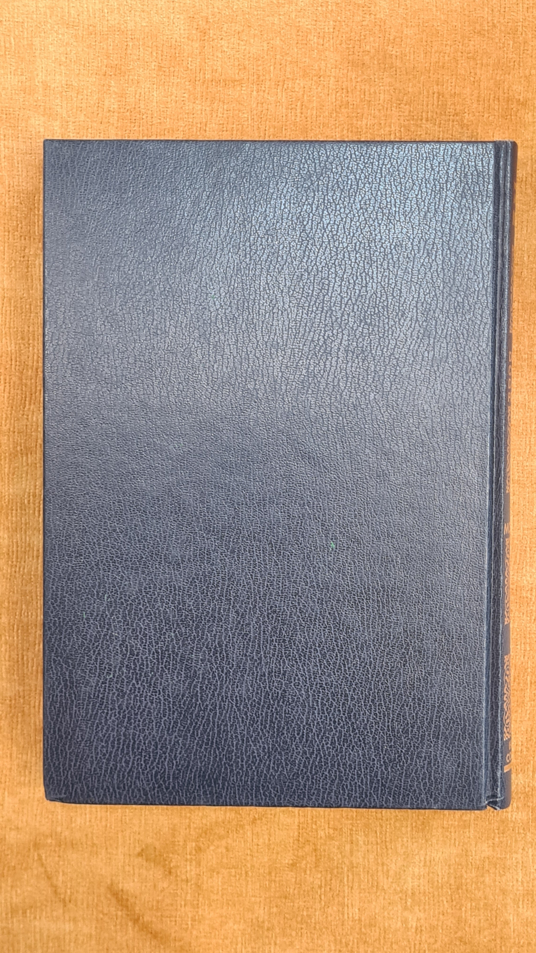 New compact dictionary of the Portuguese language III