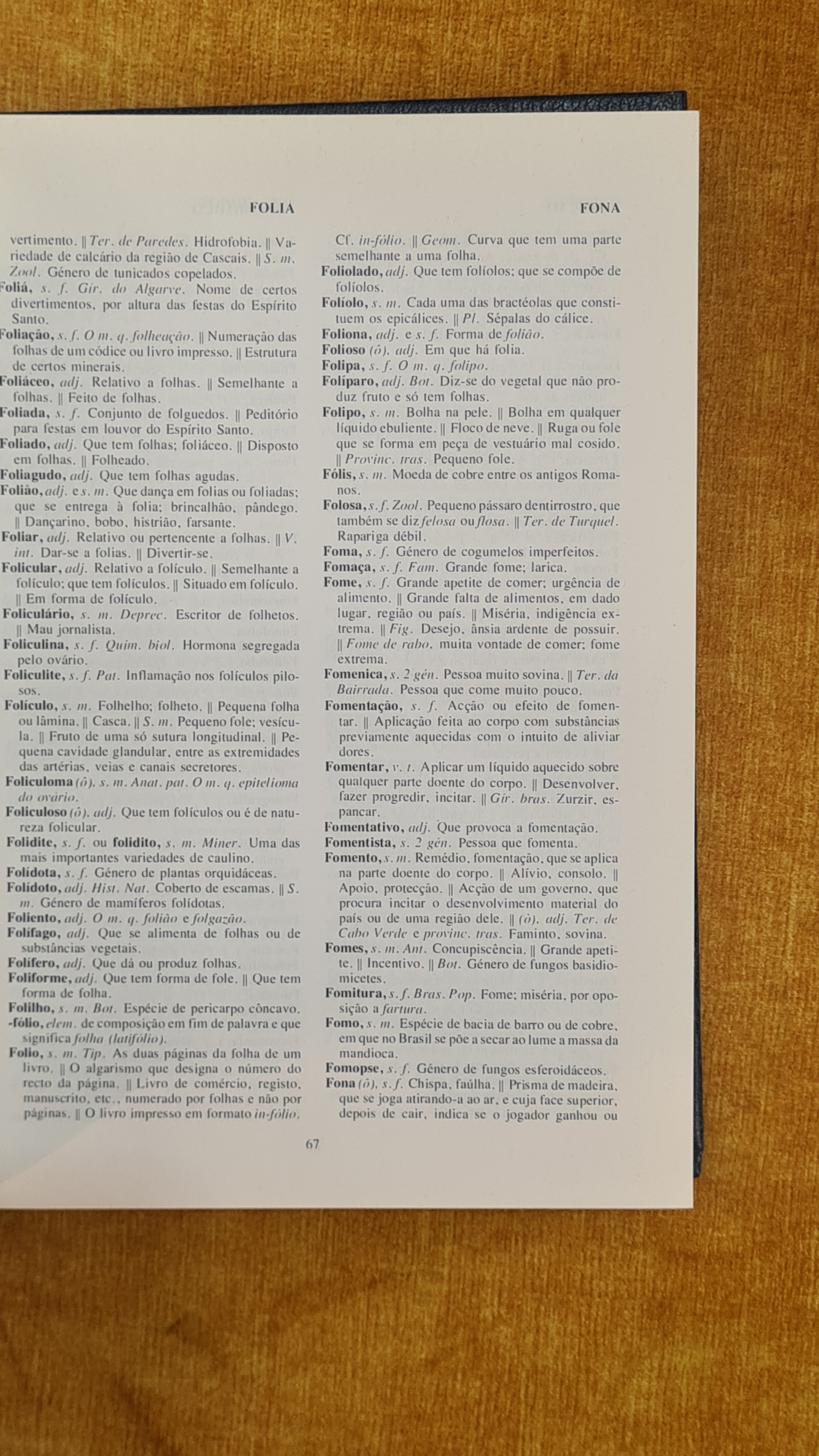 New compact dictionary of the Portuguese language III