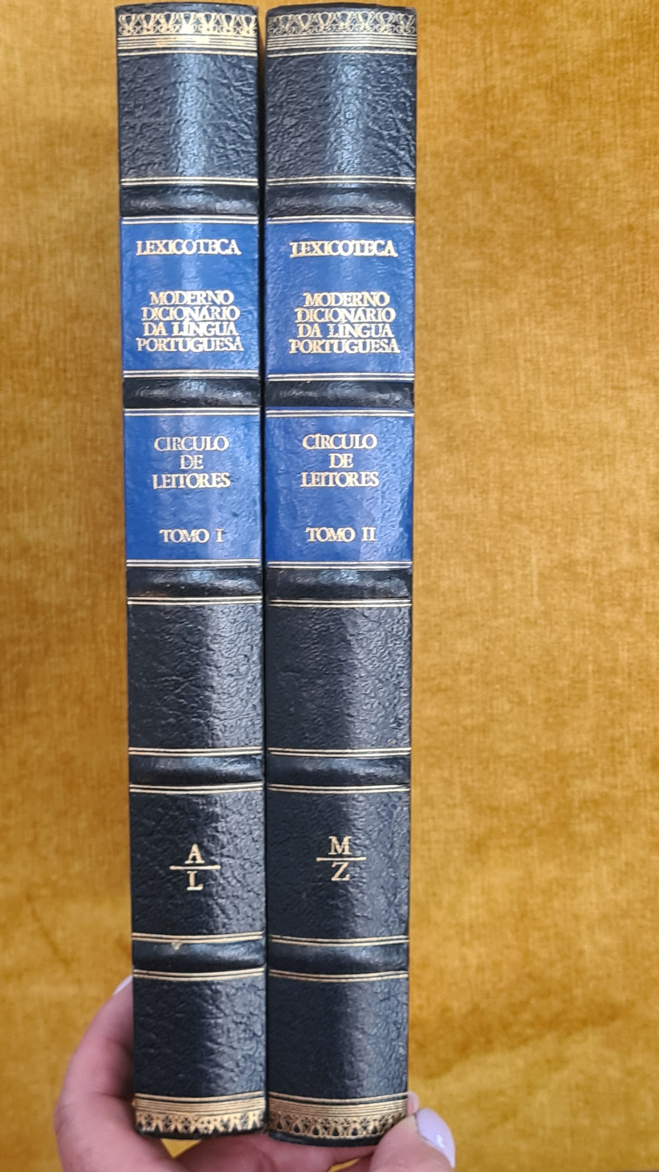Moderno Dicionário da Língua Portuguesa