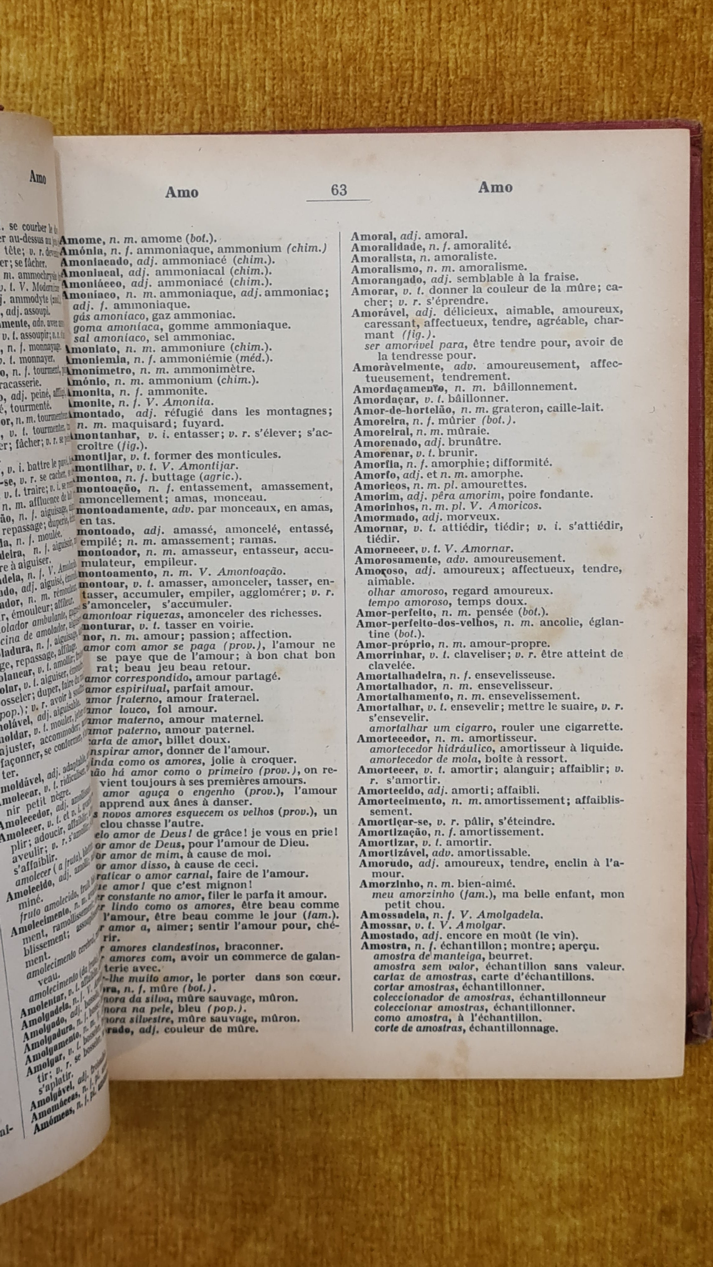 Portuguese - French Dictionary