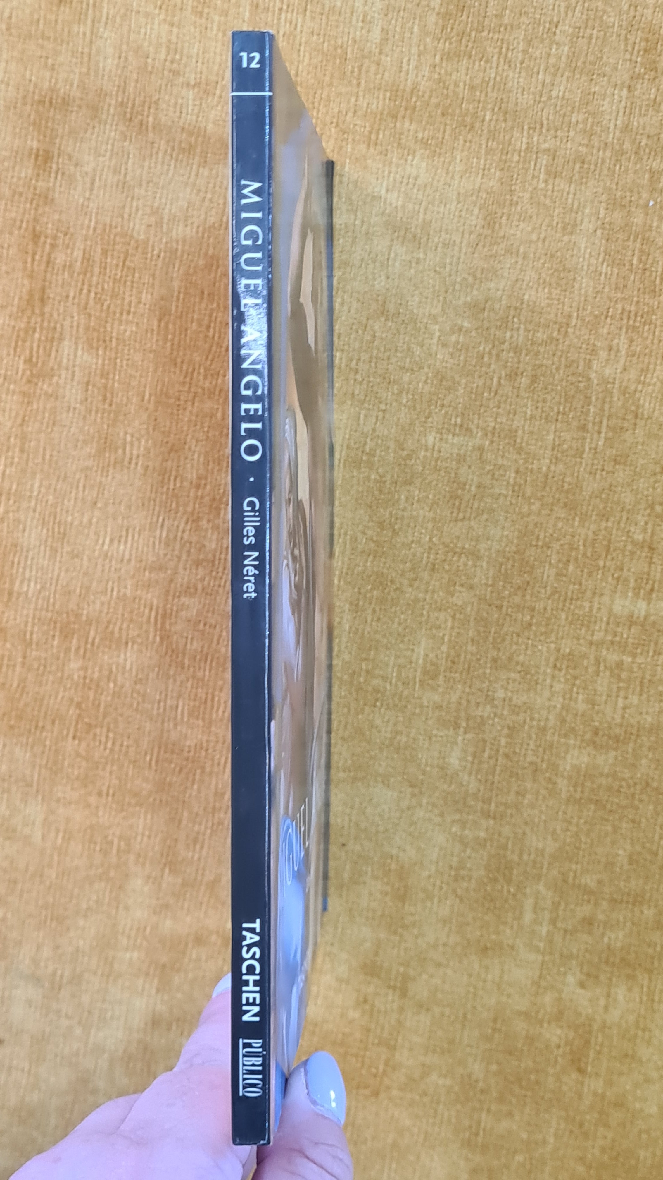 Michelangelo - Taschen No. 12
