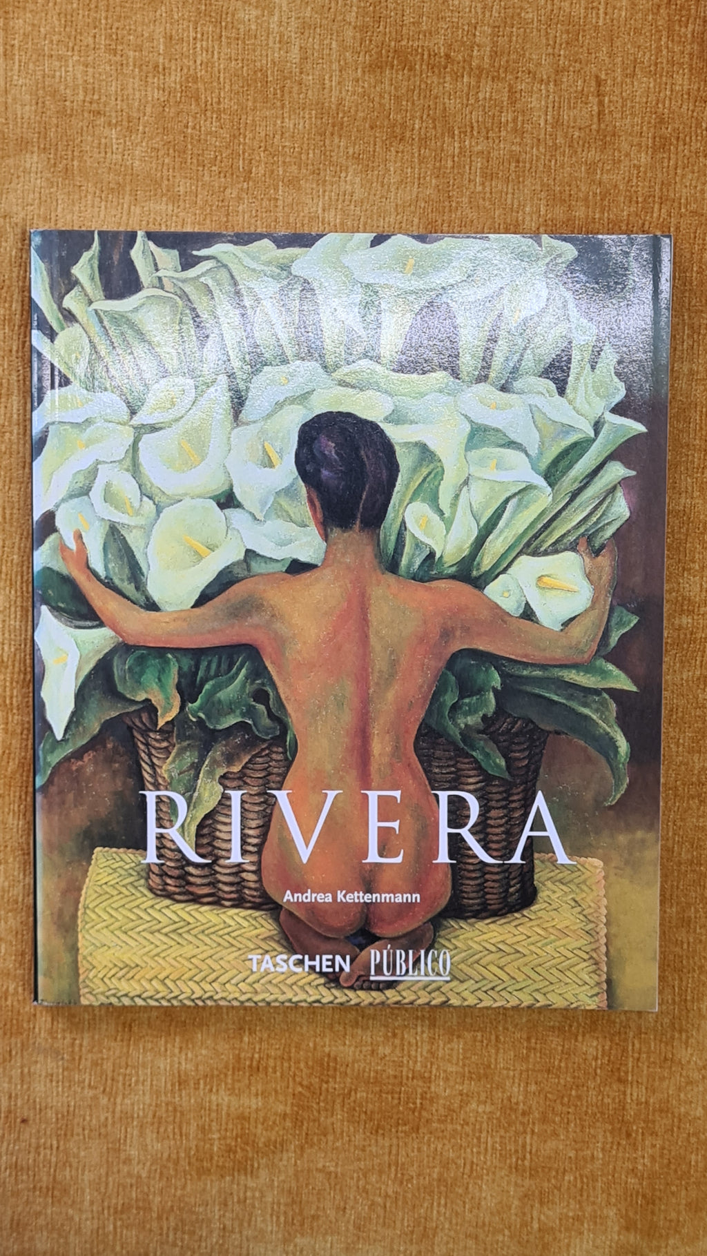 Rivera - Pocket Nº26