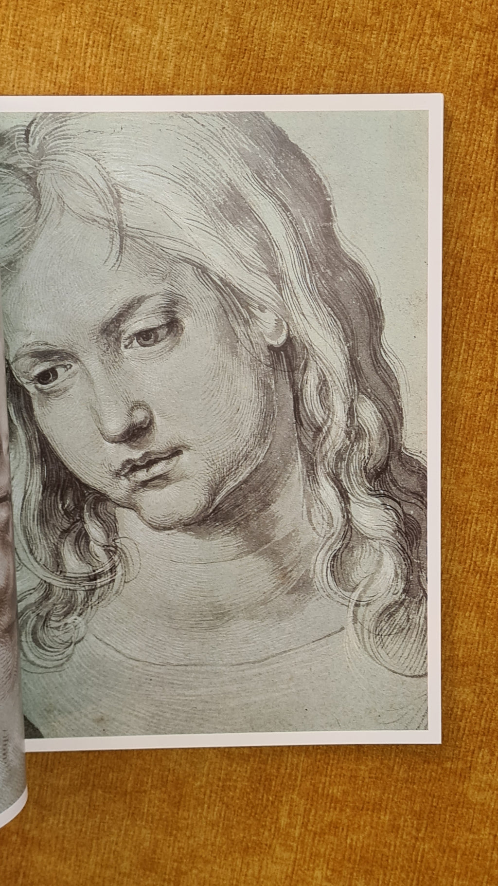 Durer - Taschen no. 47