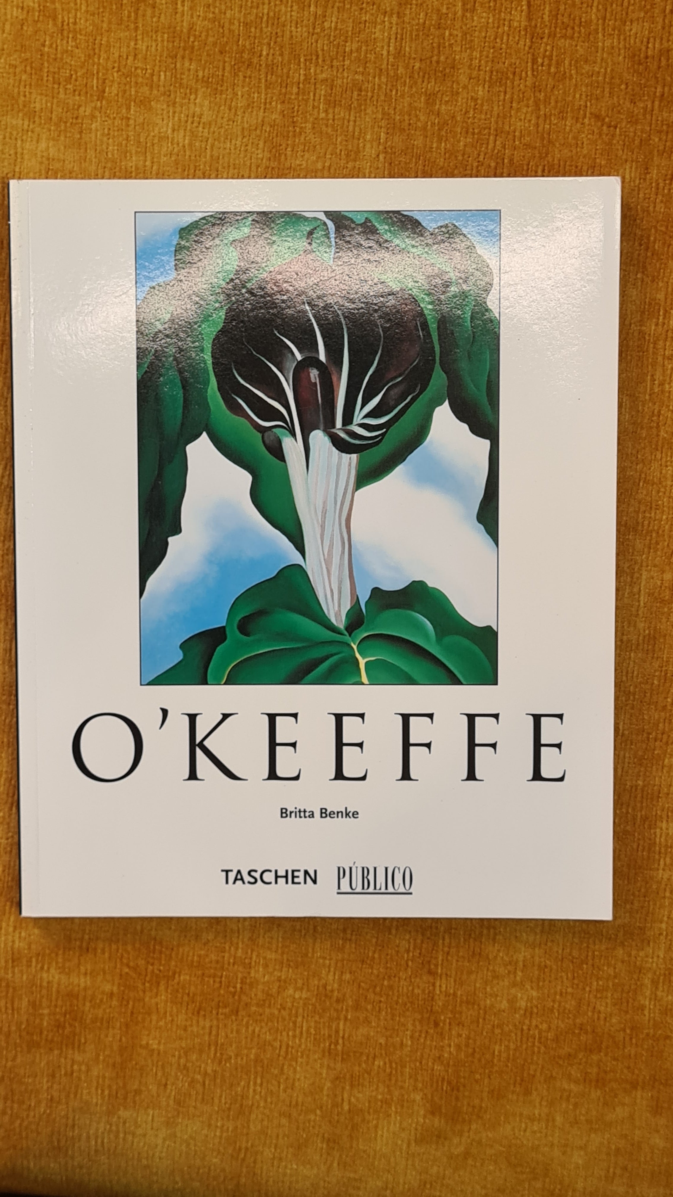 O'Keeffe - Taschen No. 45