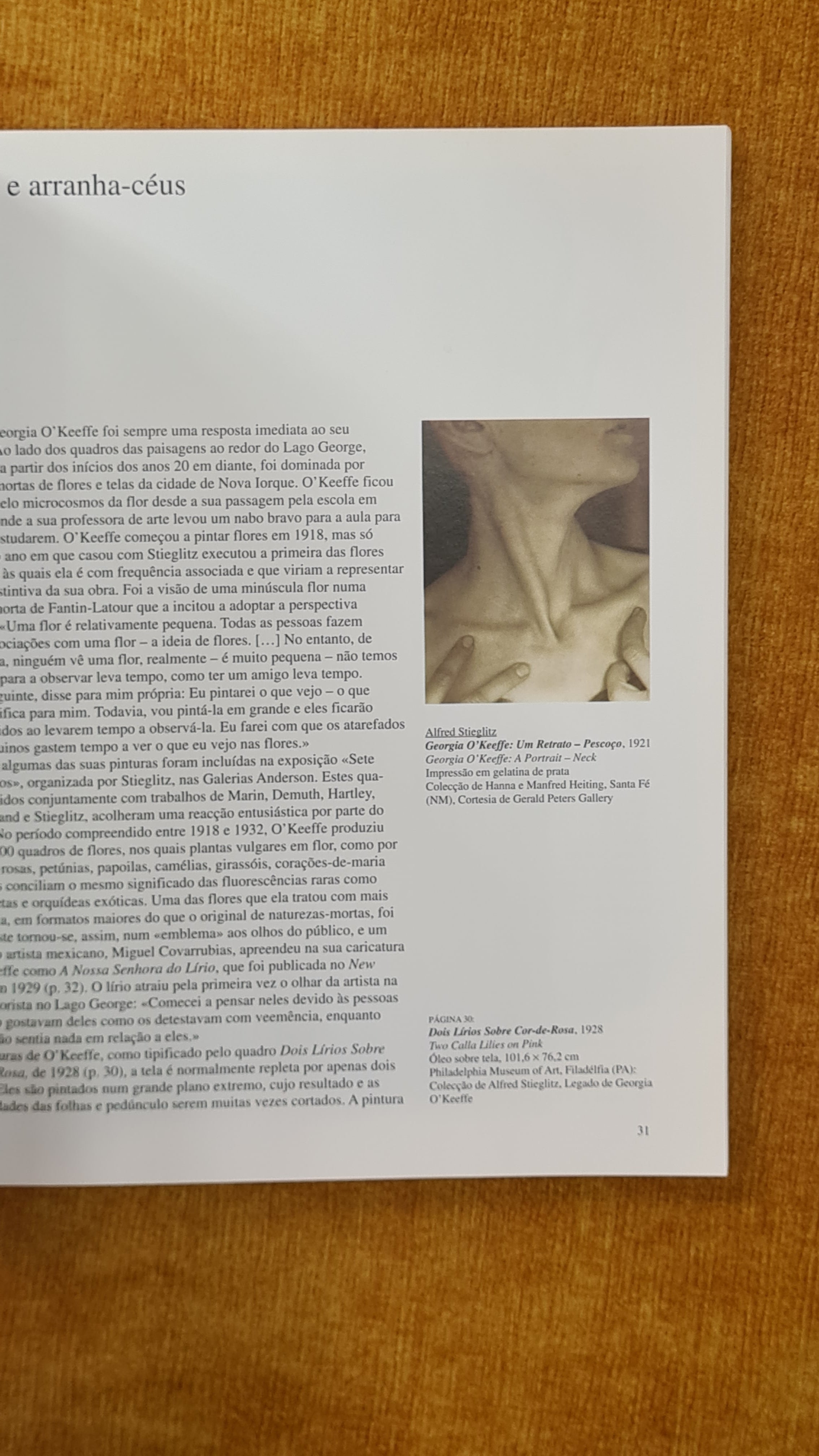 O'Keeffe - Taschen No. 45