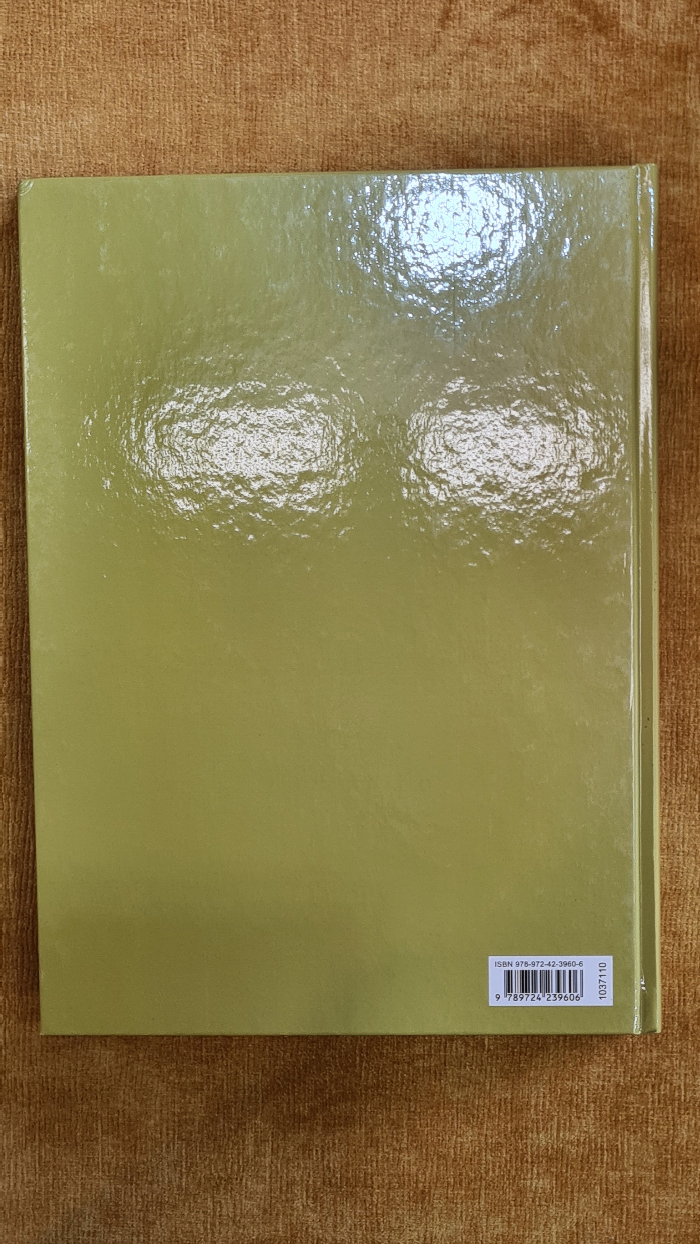 History of Portuguese Art - Vol. 8