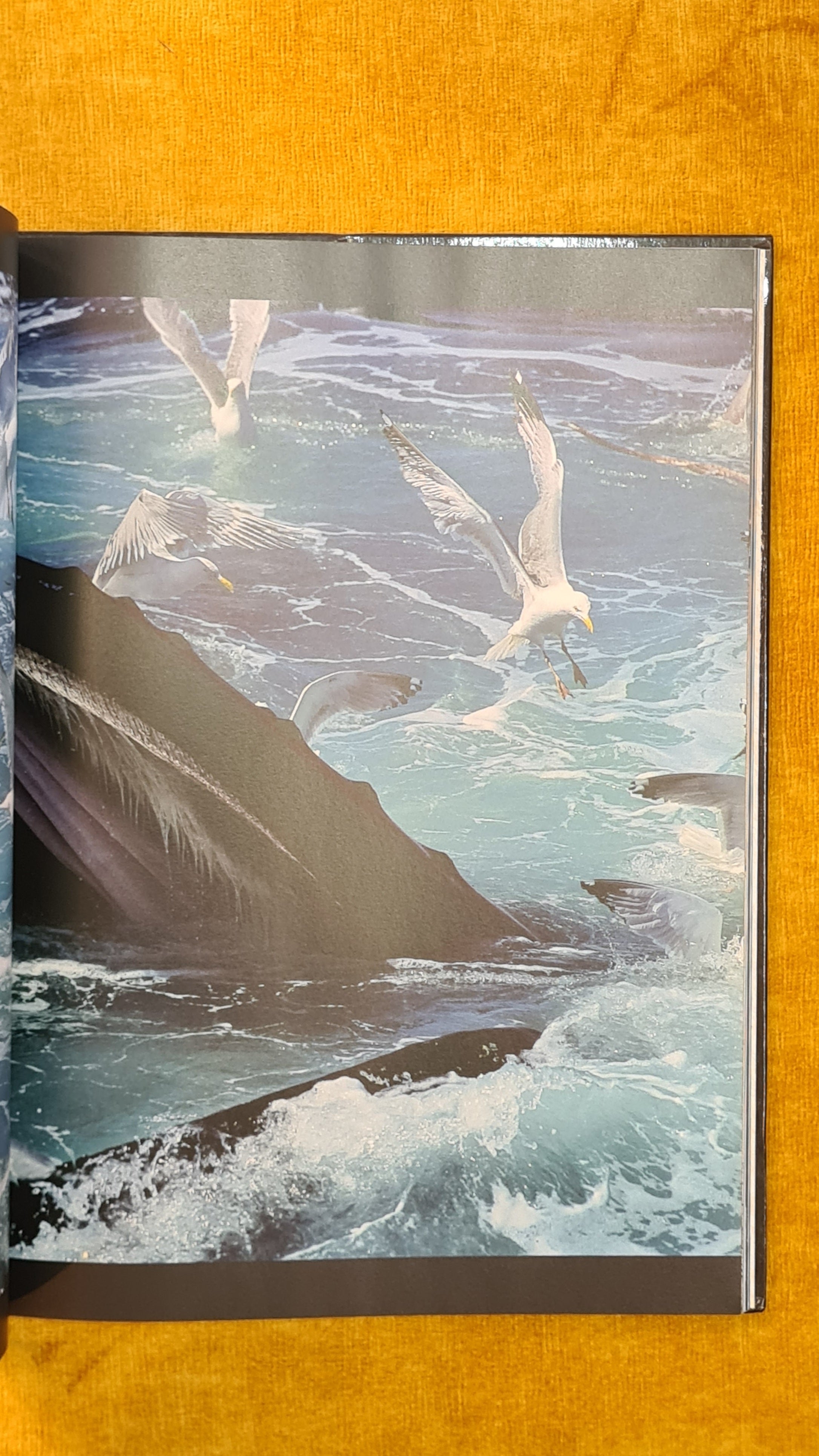 Atlas National Geographic 23 - O mundo em Imagens Oceanos e Ilhas/Universo