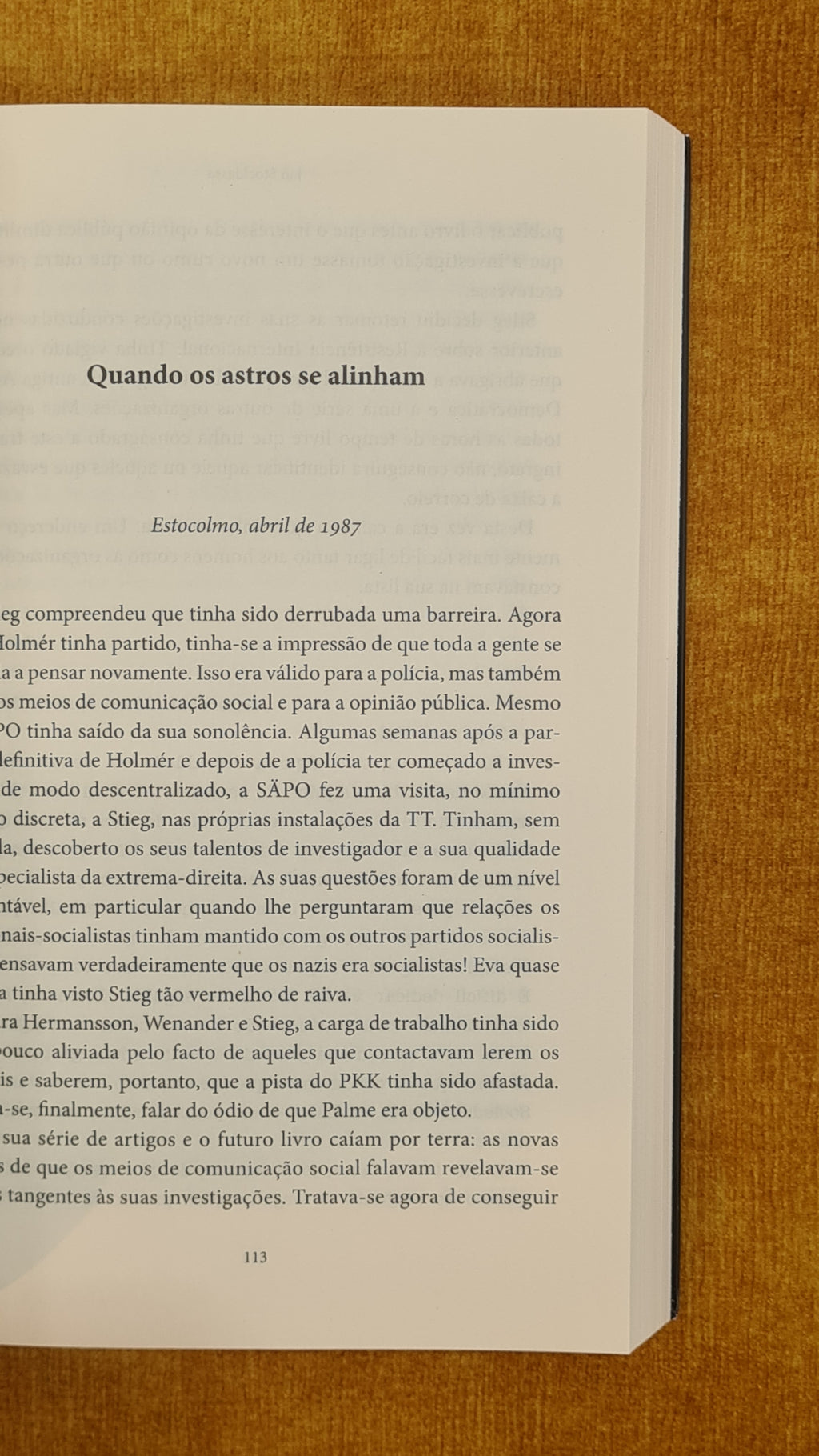 Stieg Larsson - Os arquivos secretos