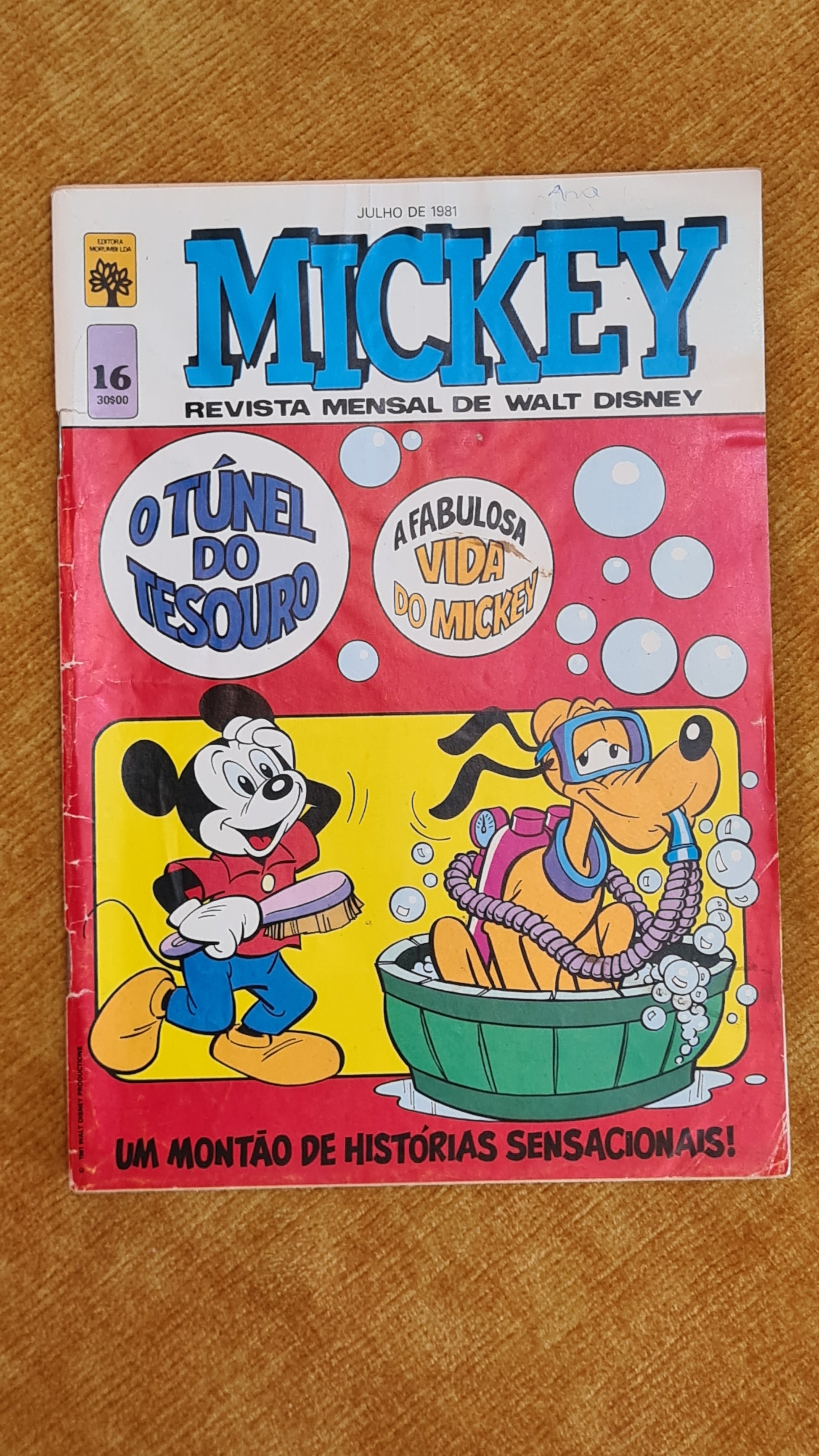The Treasure Tunnel - Mickey 16