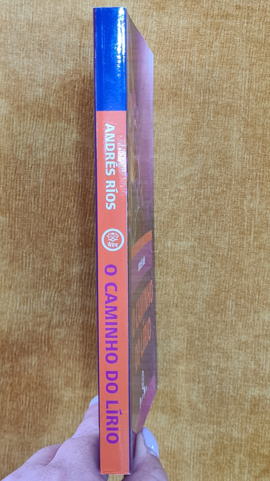 O caminho do Lírio