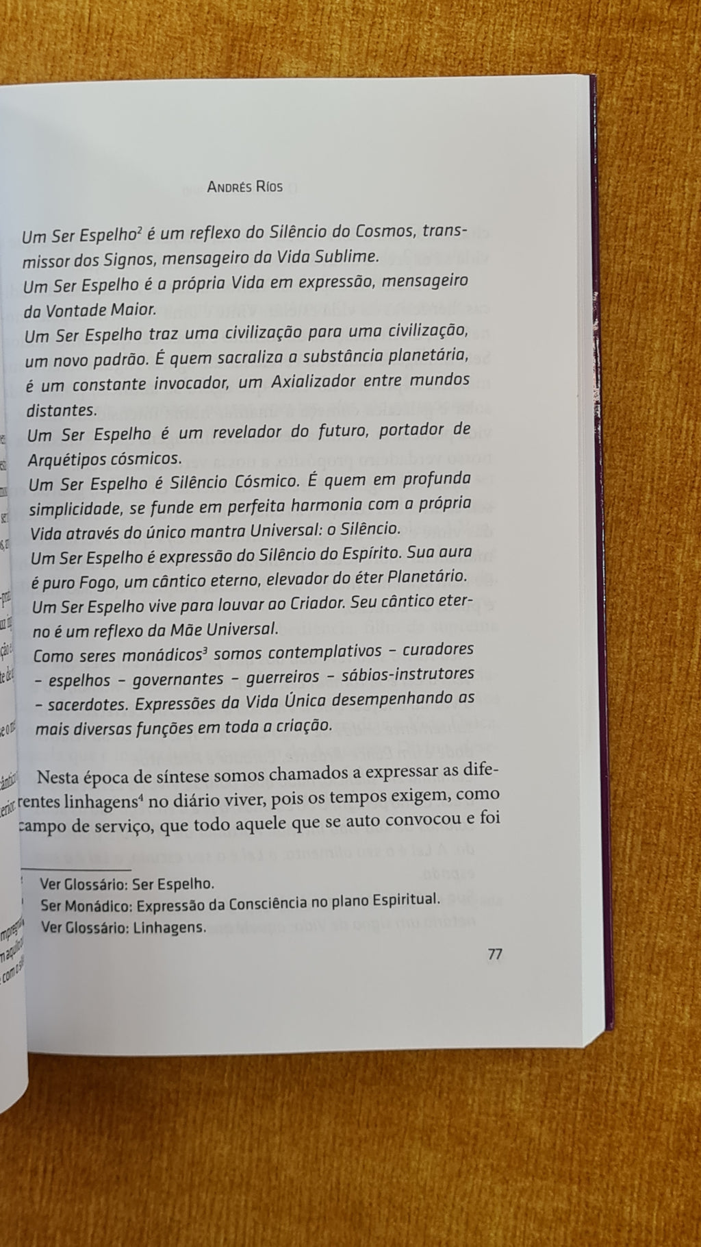 O caminho do Lírio