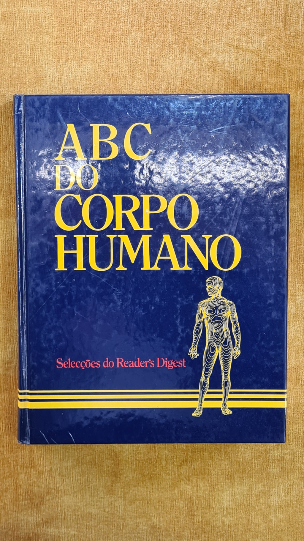 ABC of the human body
