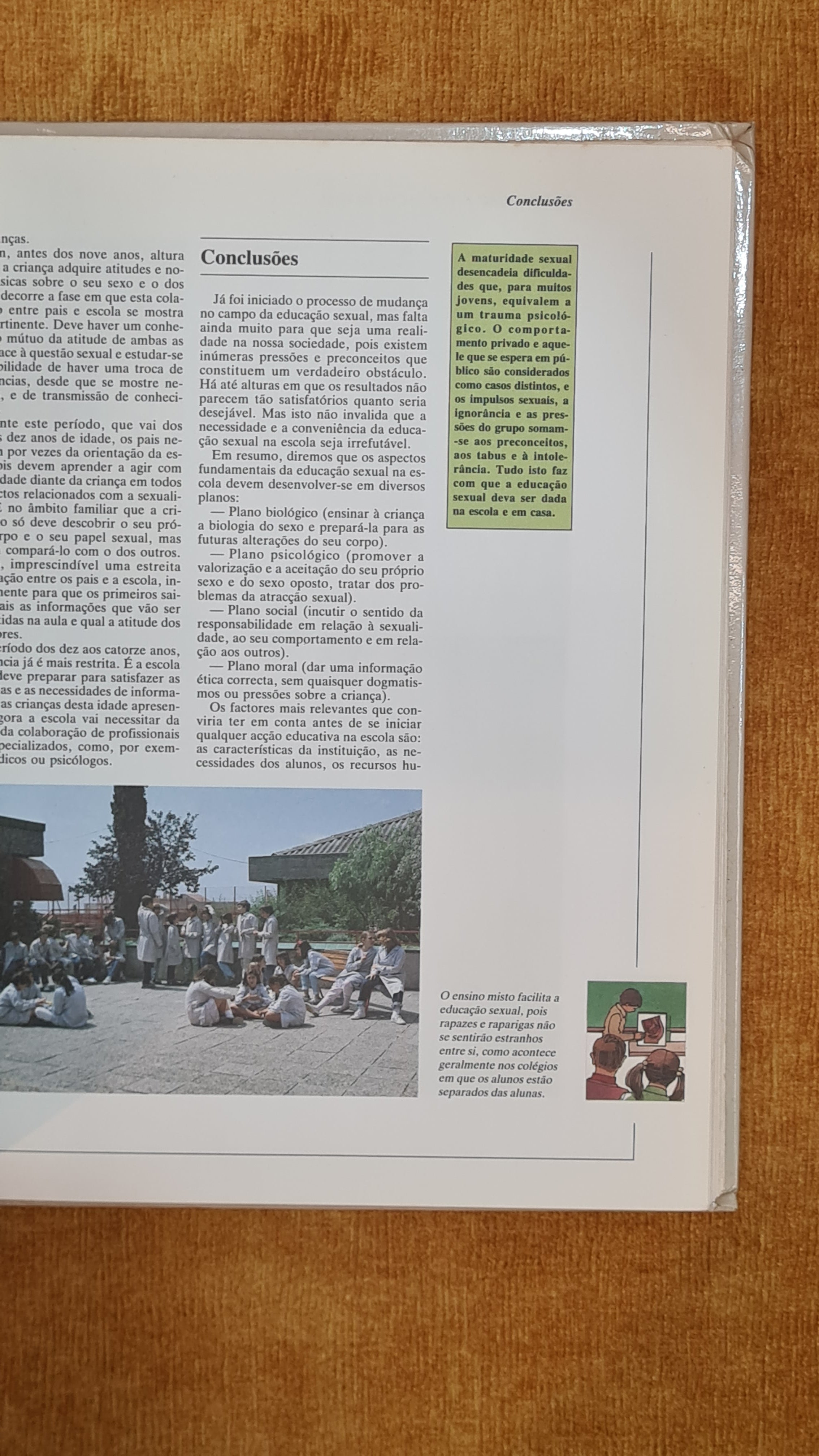 Os nossos Filhos - Guia dos pais para uma educação integral das crianças: A criança e o seu ambiente