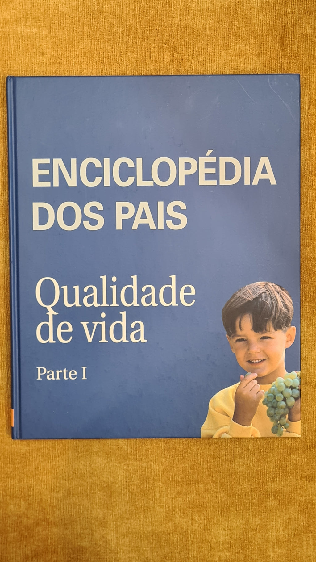 Enciclopédia dos pais 3 - Qualidade de Vida Parte I