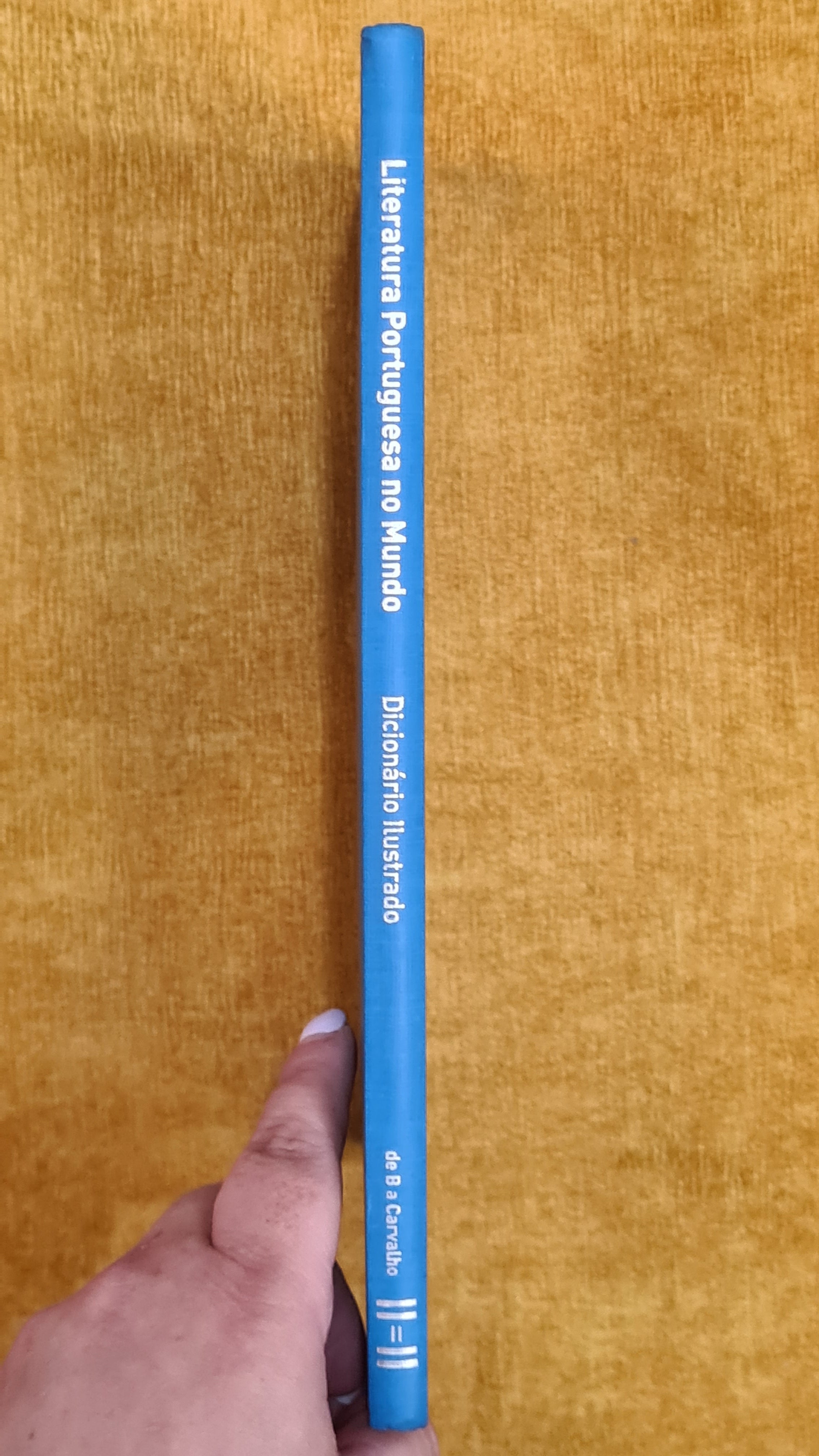 Literatura Portuguesa no mundo - Dicionário Ilustrado Volume II