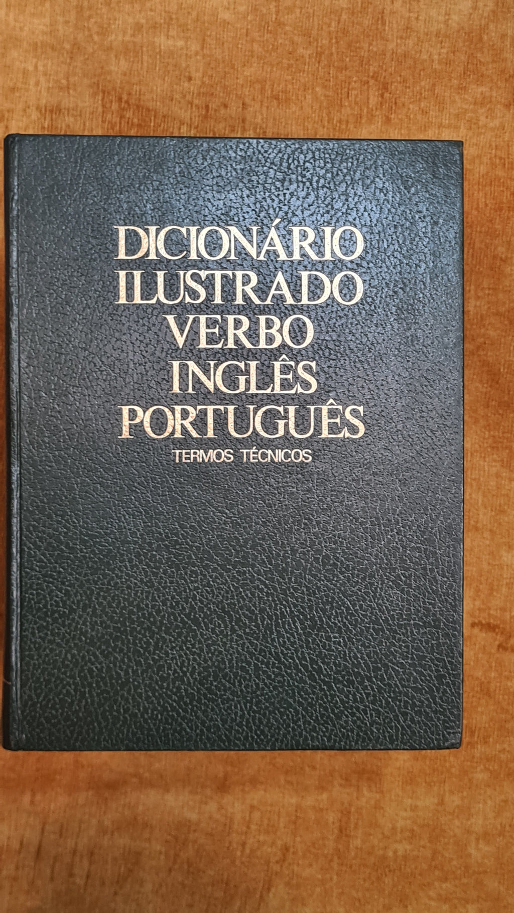 Dicionário ilustrado Verbo Português Inglês - Inglês Português