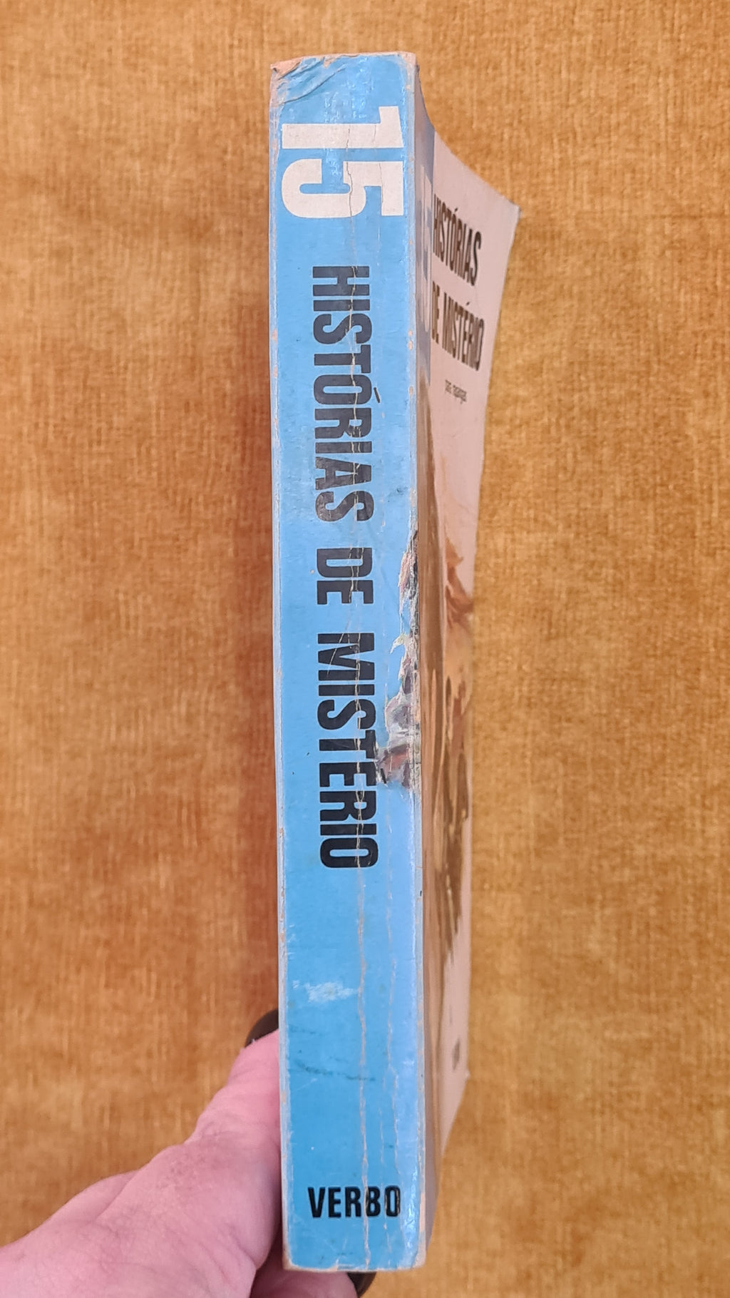 15 Mystery Stories for Girls - Series 15