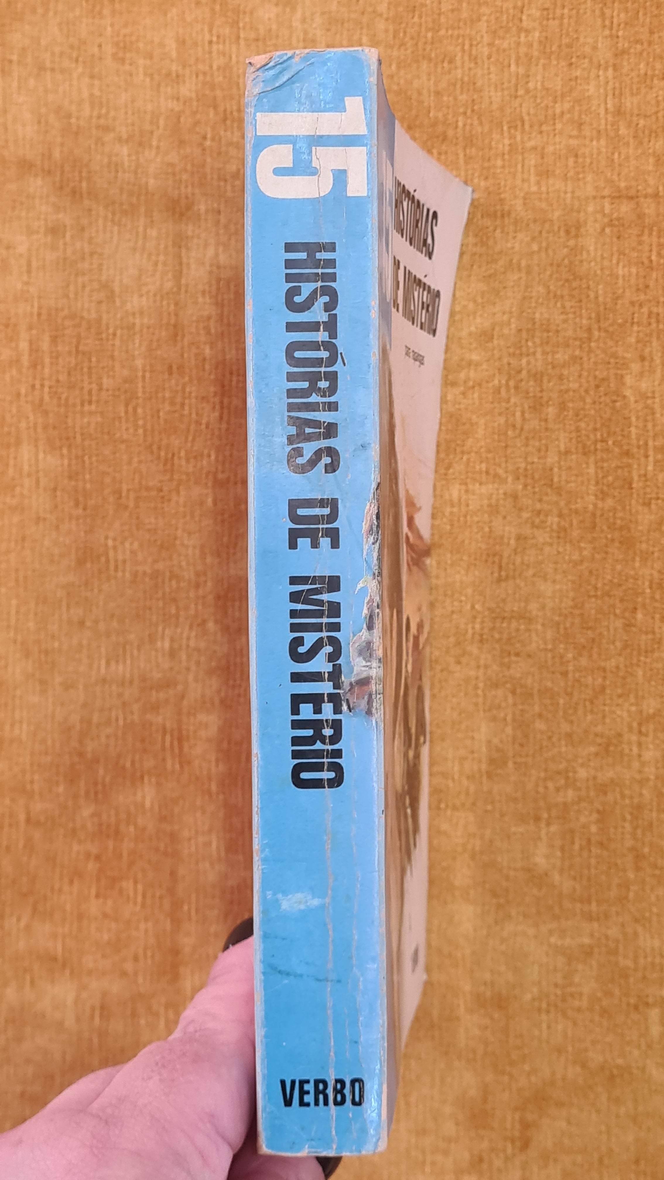 15 Mystery Stories for Girls - Series 15