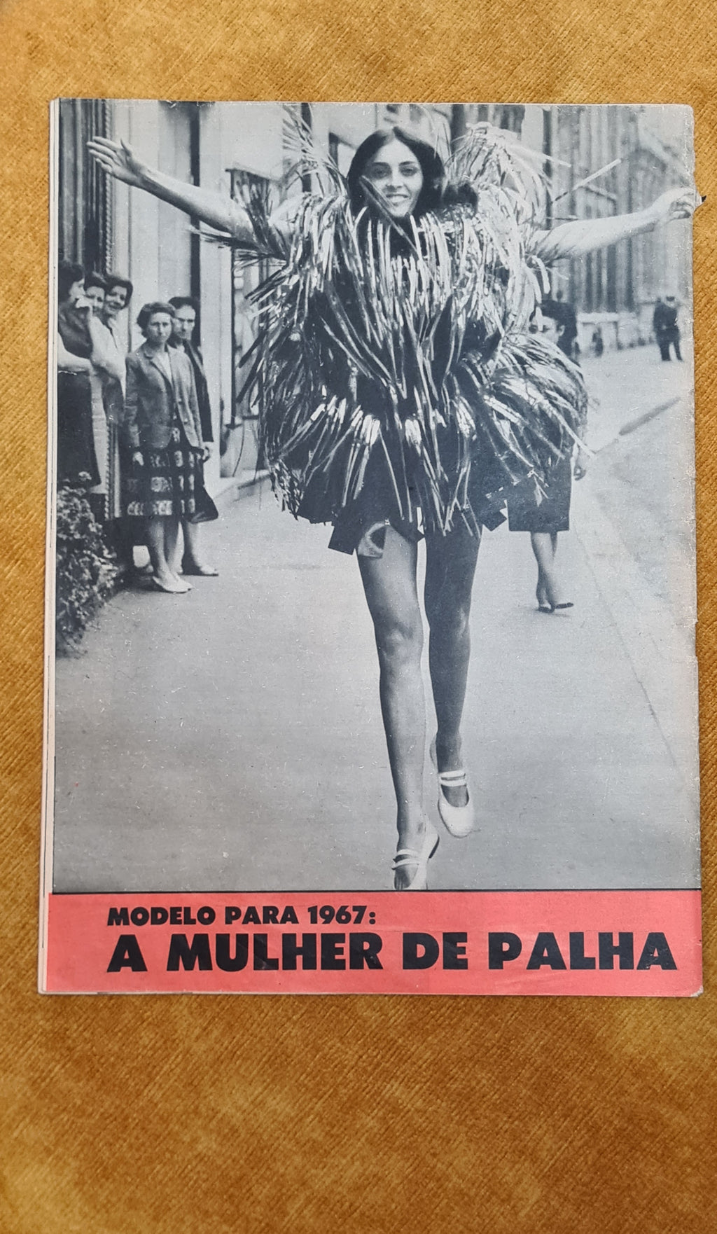 The Illustrated Century Year XXIX, nº 1500