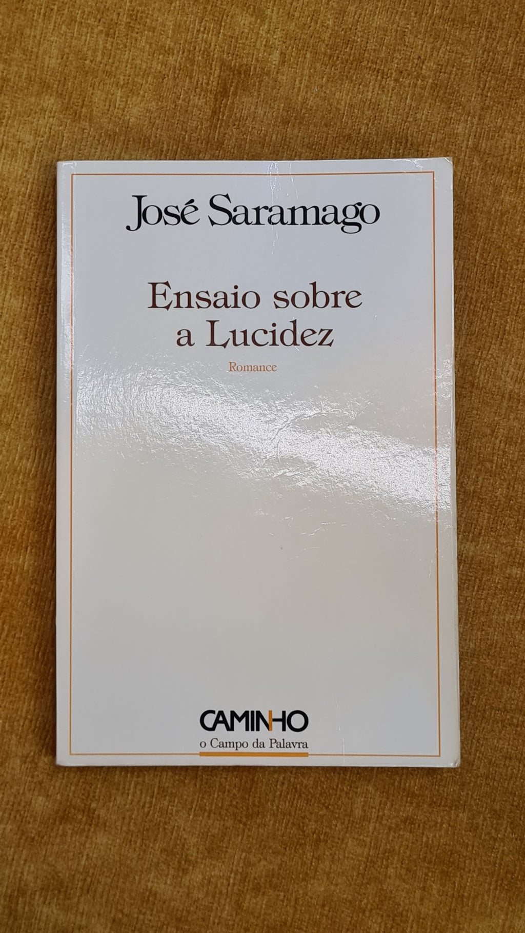 Essay on Blindness