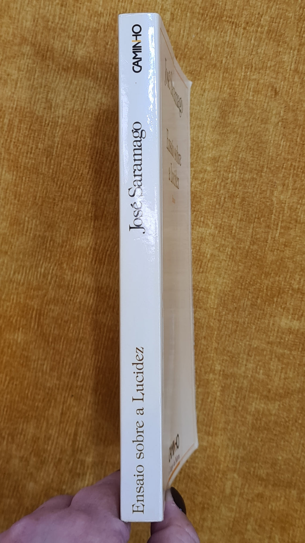 Essay on Blindness