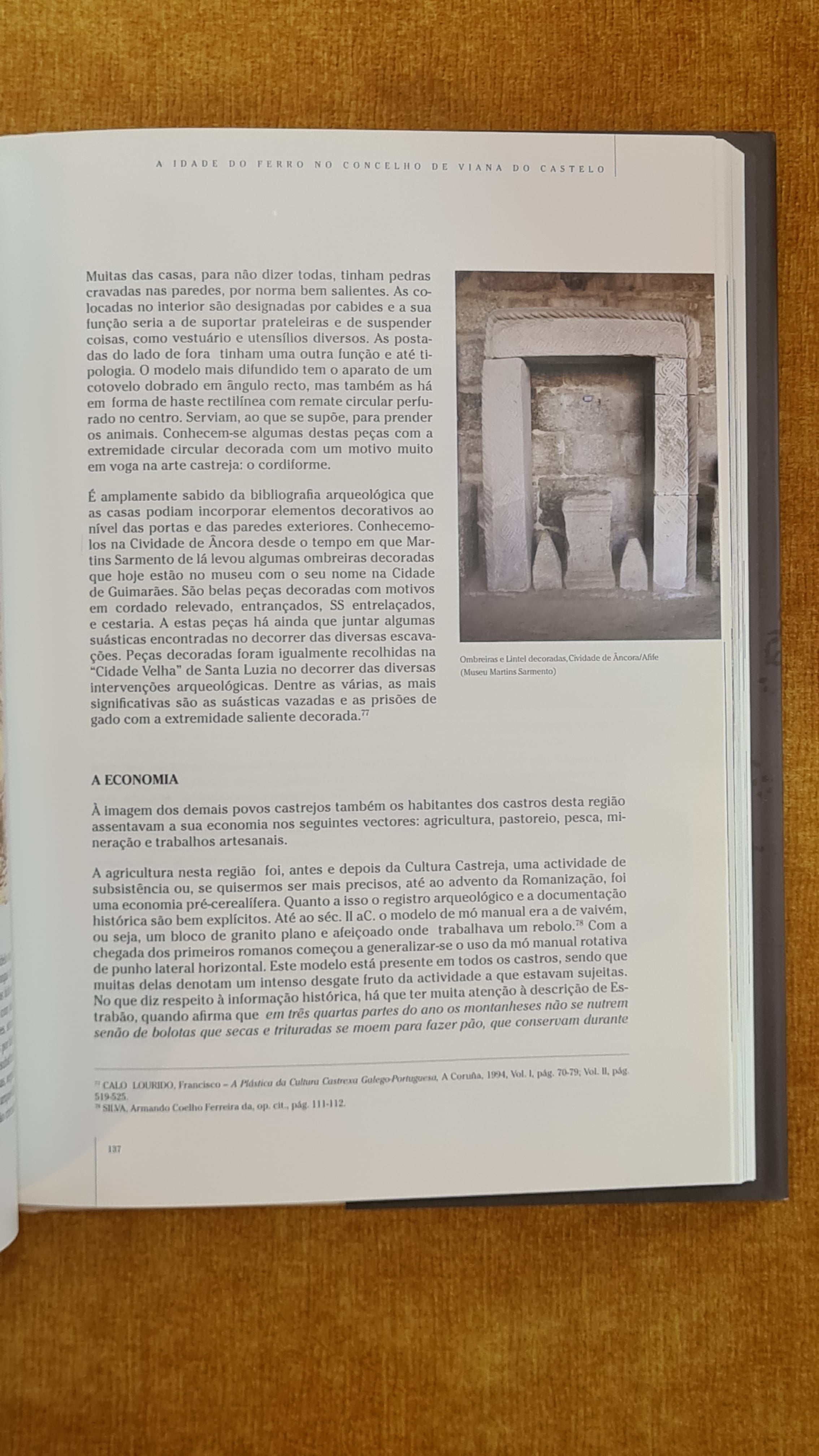 Arqueologia do concelho de Viana do Castelo: Sítios que fazem história Vol. II
