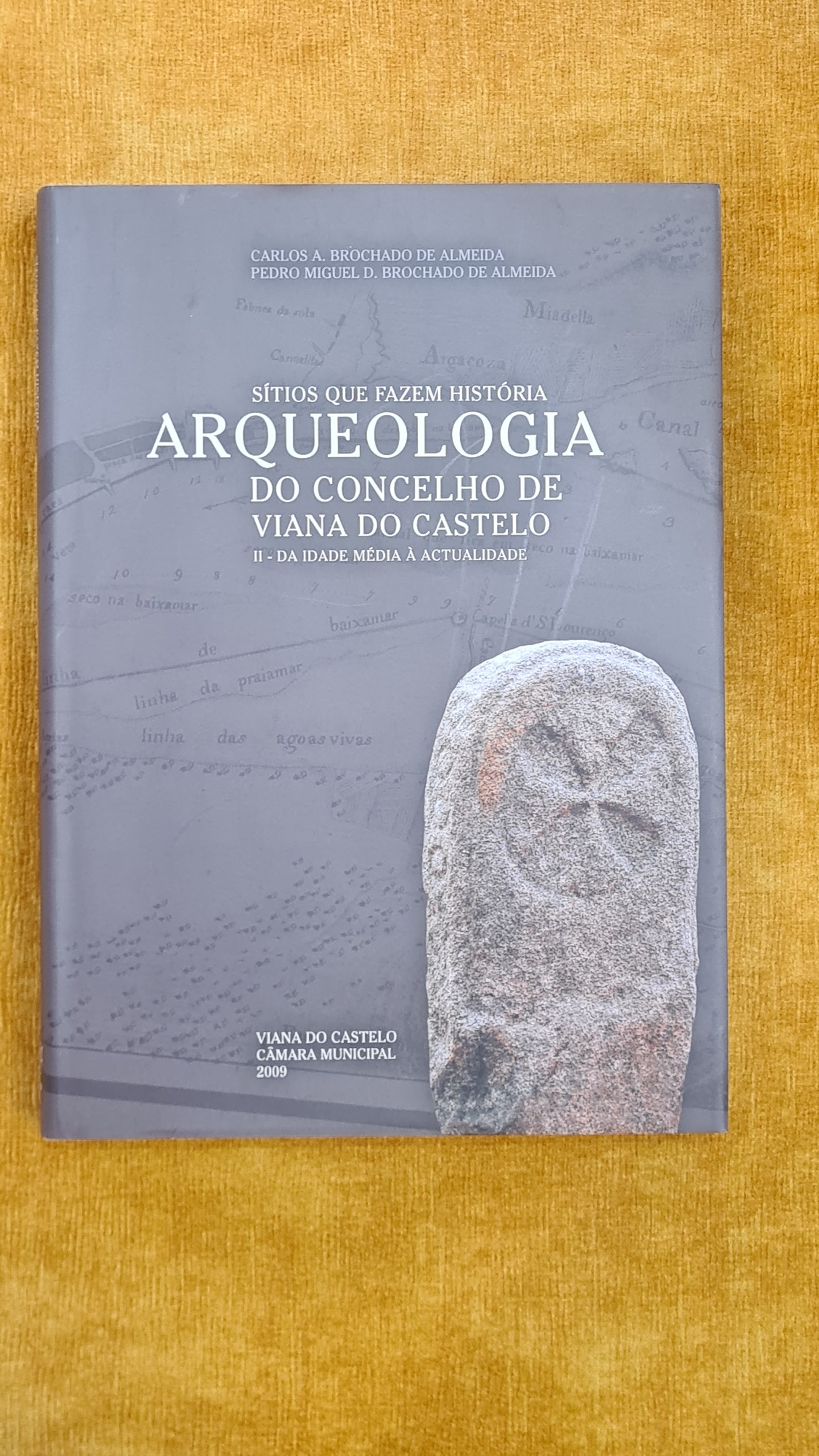 Arqueologia do concelho de Viana do Castelo: Sítios que fazem história Vol. II