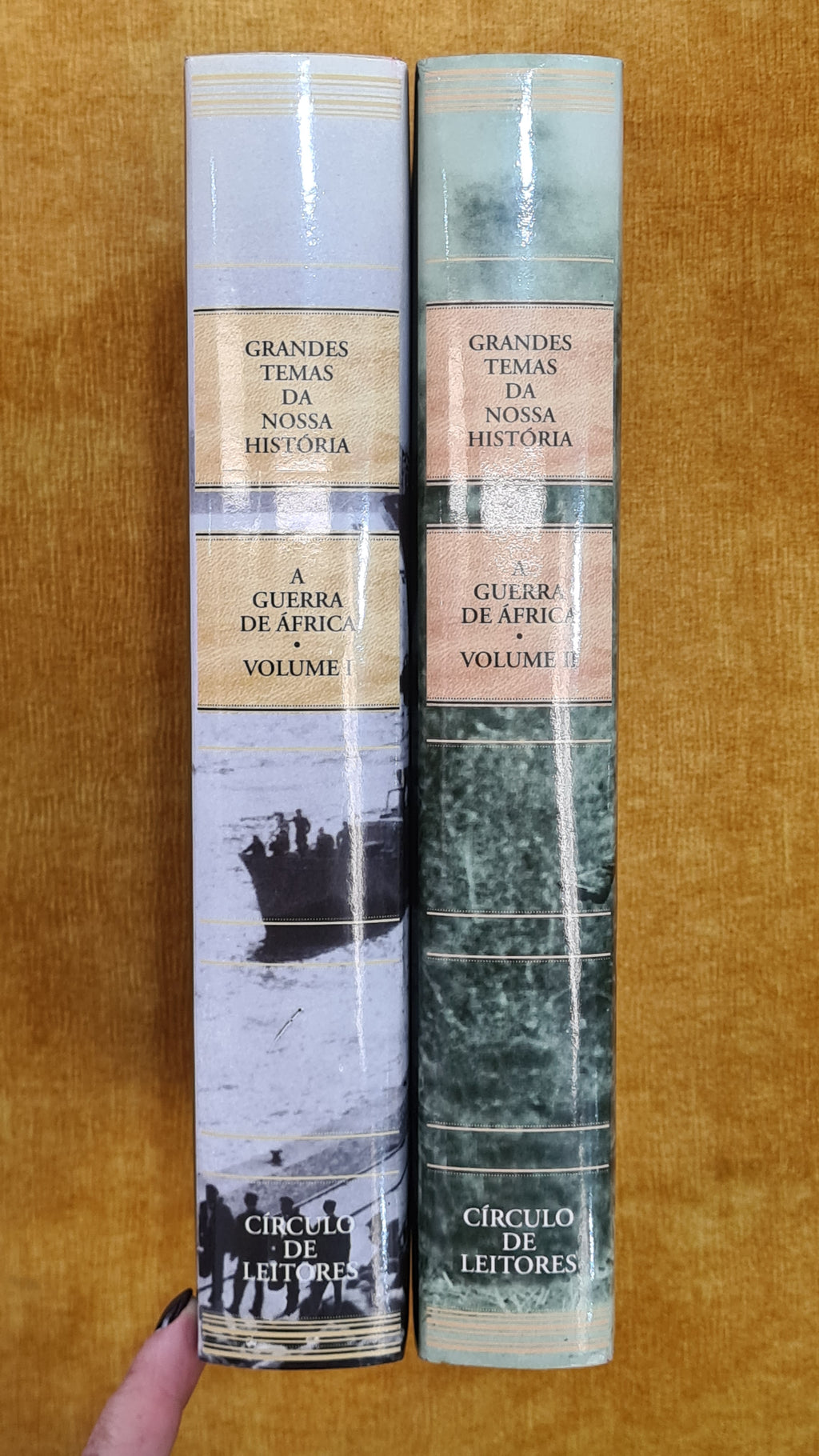 A guerra de África 1961-1974 - Grandes temas da nossa história