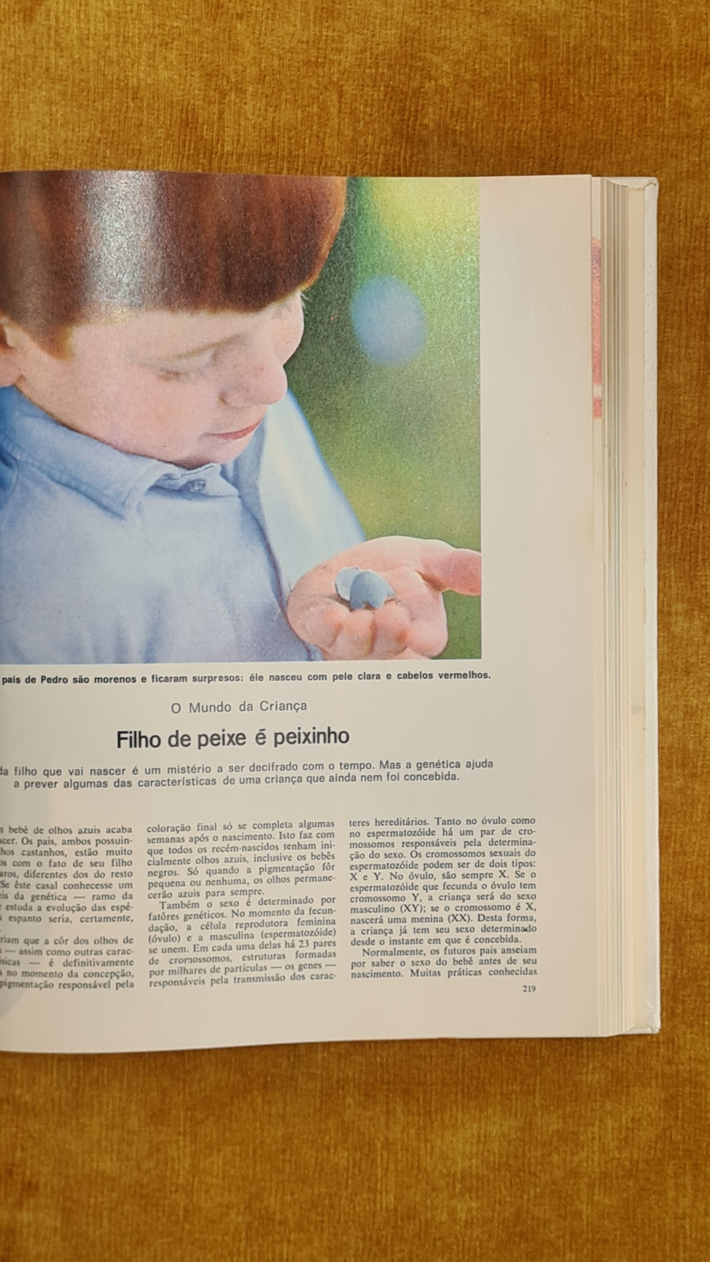 Livro da Vida