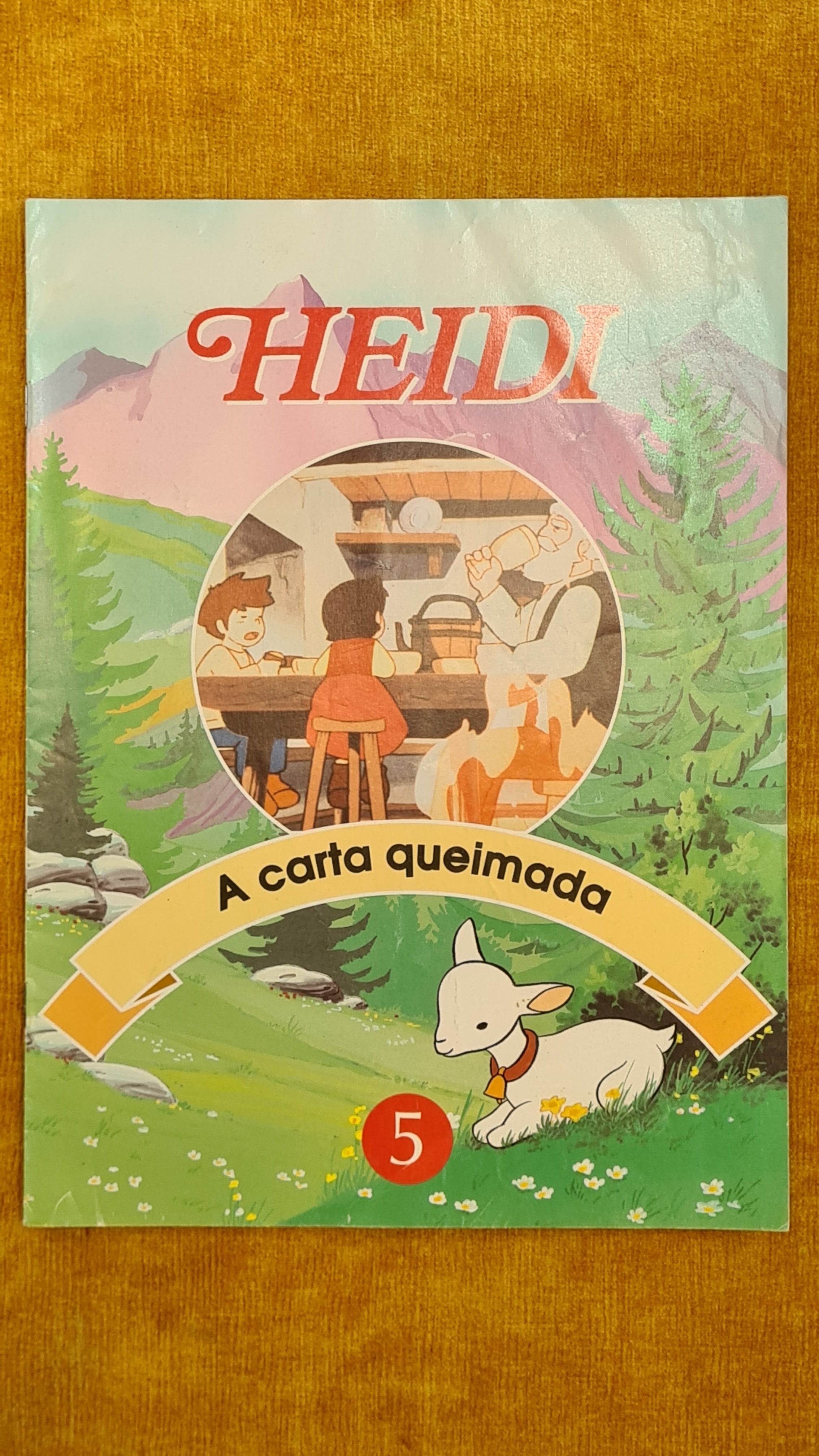 Heidi 5 - A carta queimada
