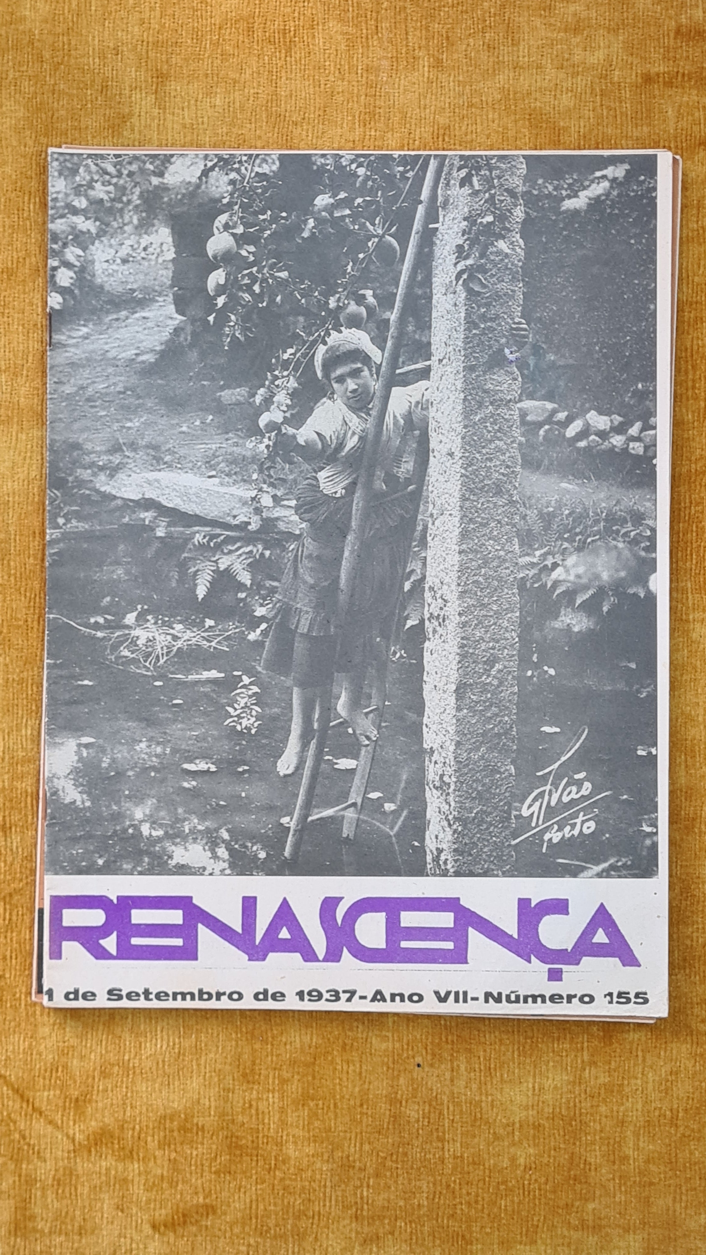 Renascença Ano VII, nº155