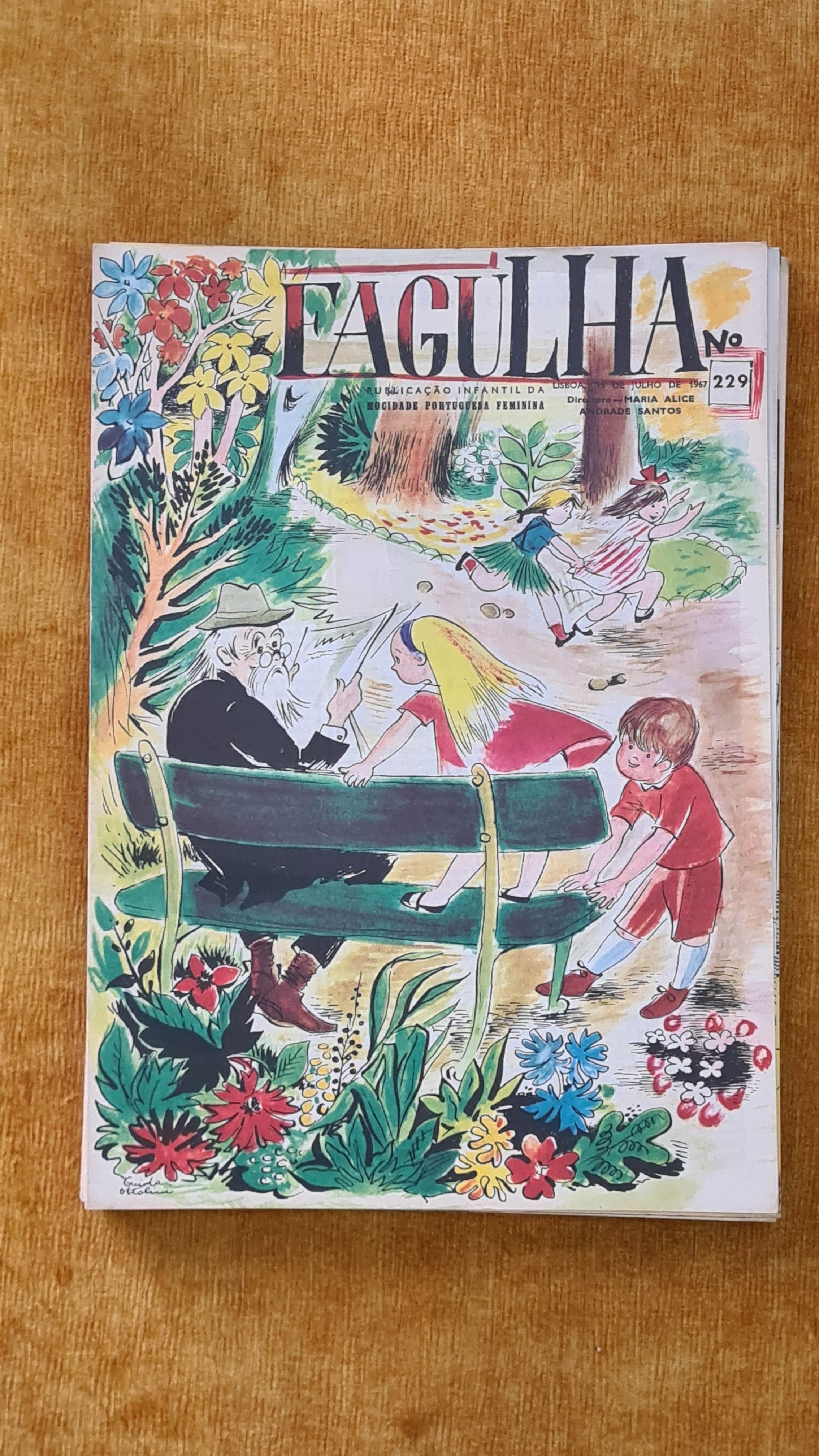 Fagulha nº 229