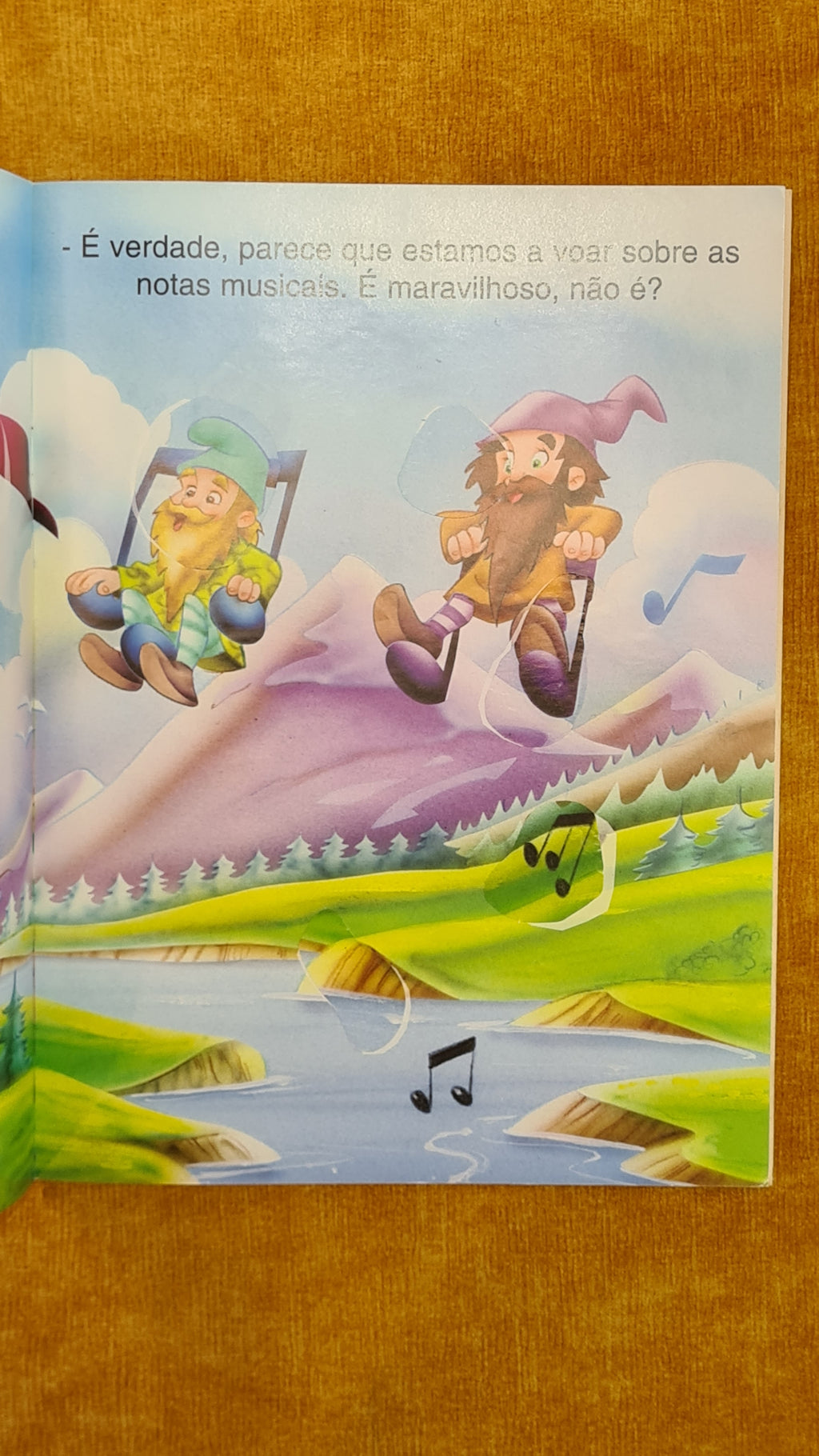 The Gnomes