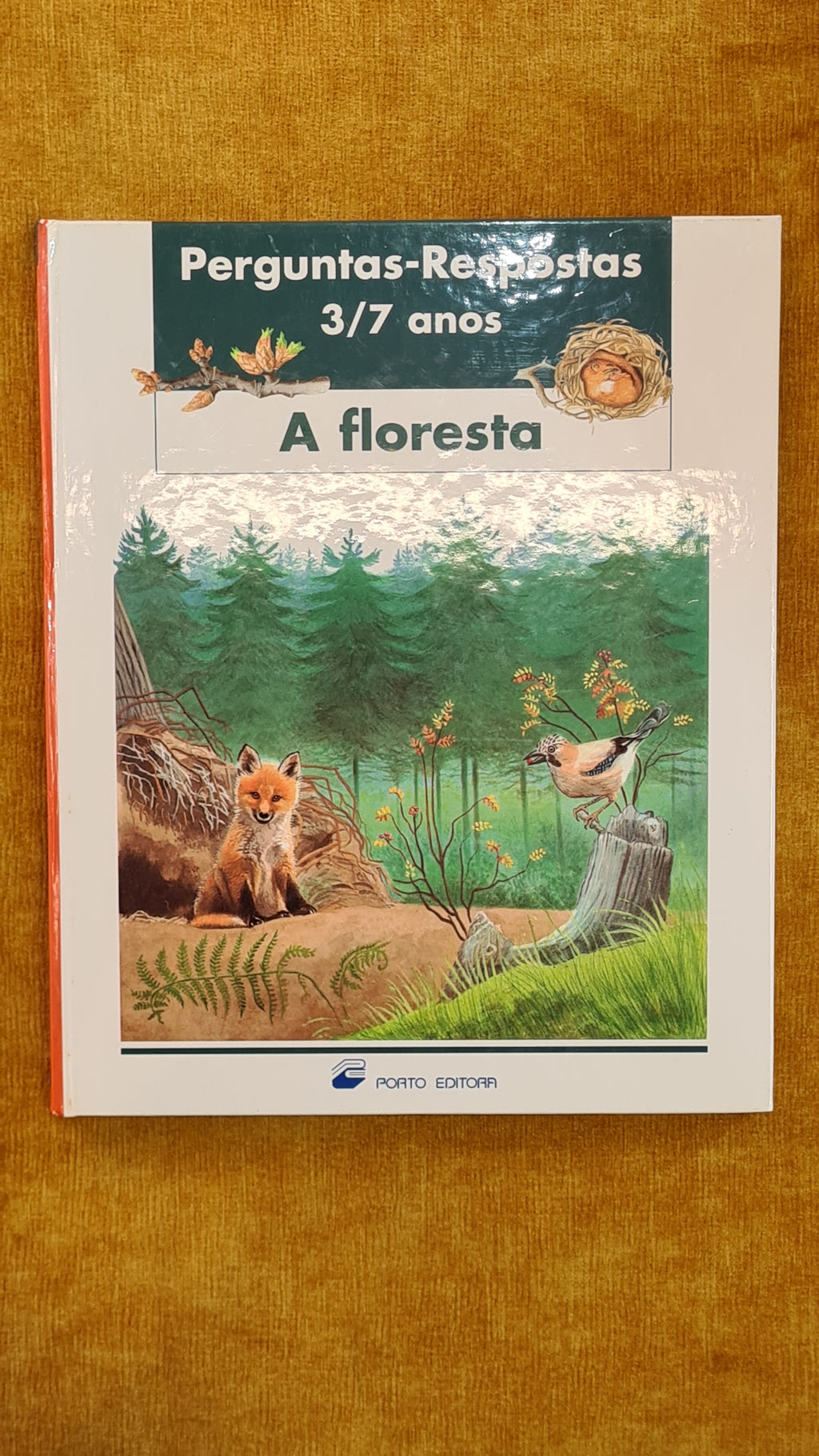 The forest - Questions and Answers 3-7 years