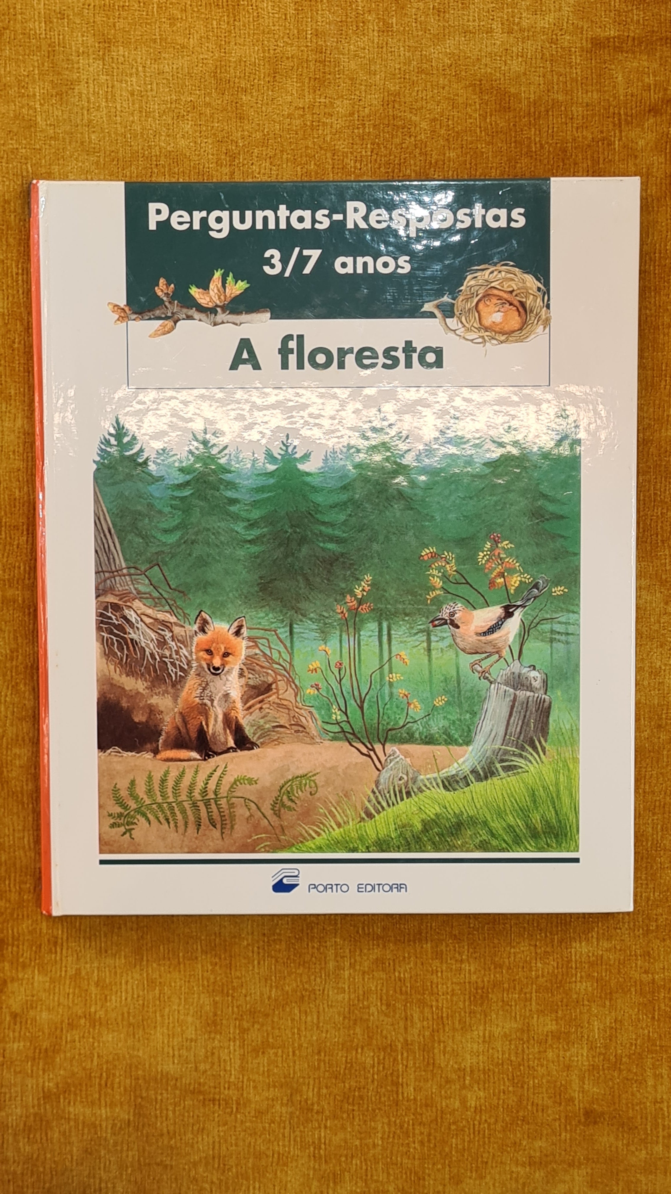 The forest - Questions and Answers 3-7 years