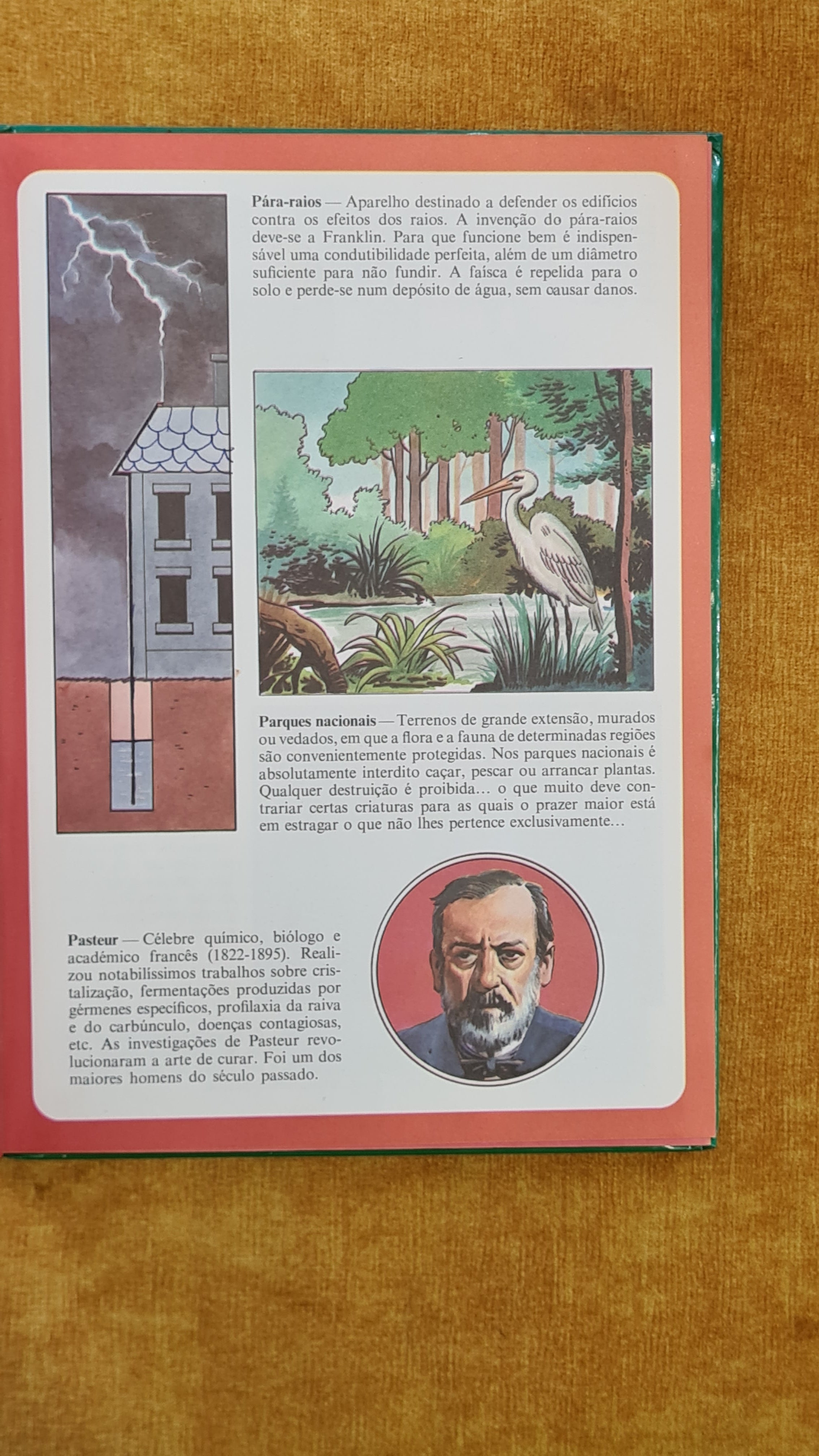 Illustrated Children's Encyclopedia 0-R