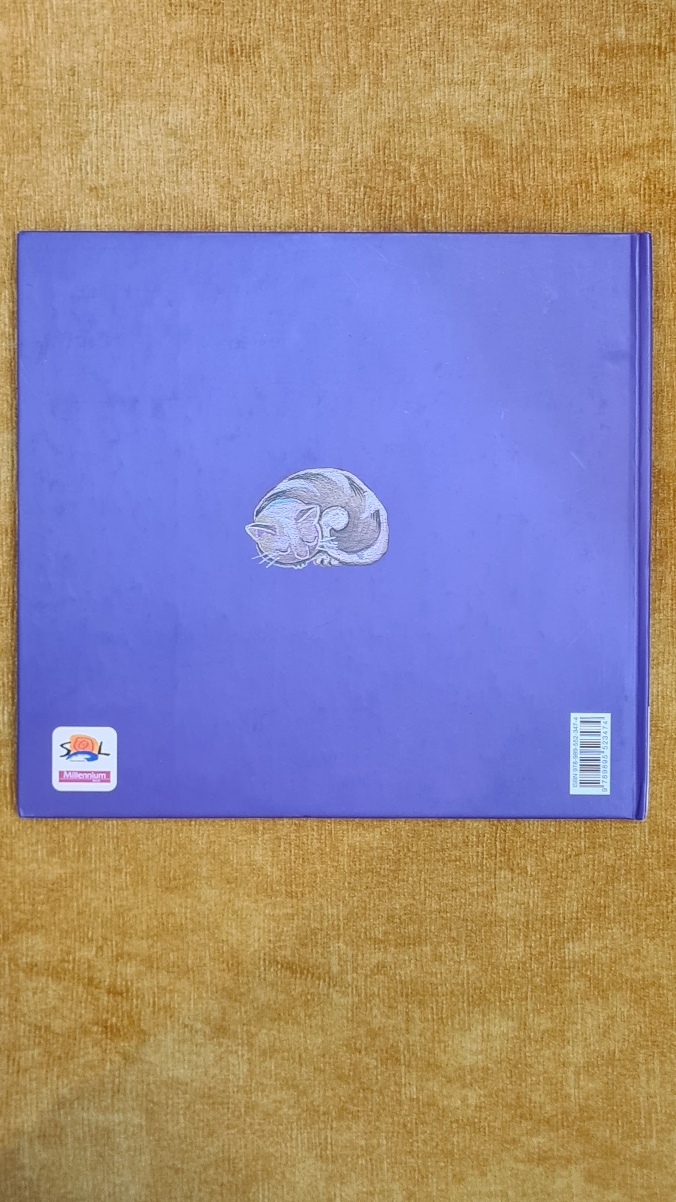 Mr. Rector's Pupils - Classics of Portuguese literature for children 1