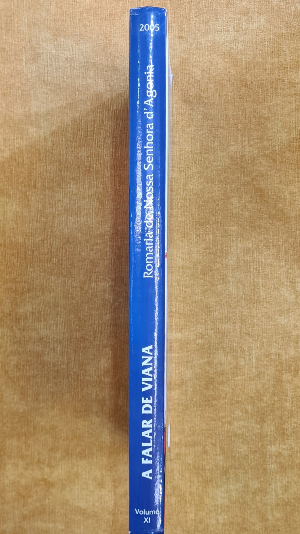 A falar de Viana Volume XI, Série 1