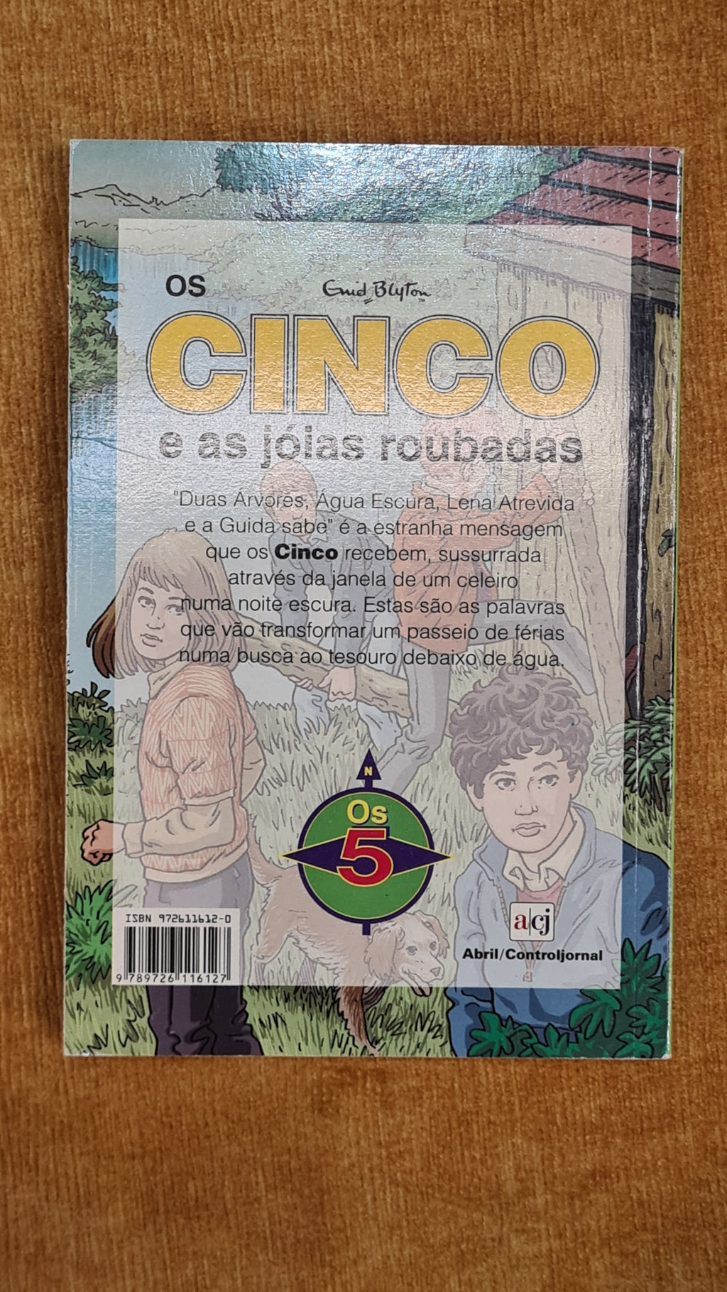 The Famous Five and the Stolen Jewels - Mystery and adventure 10