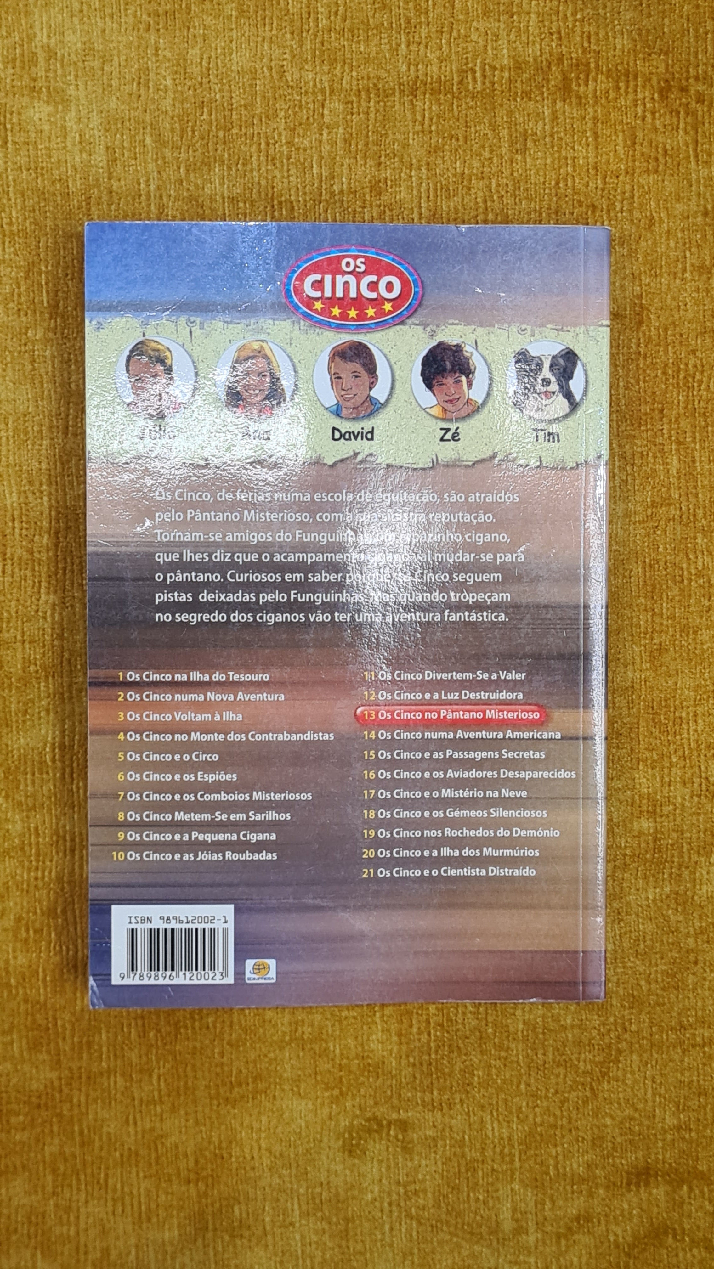 The Famous Five and the Mysterious Bog - Mystery and Adventure 13