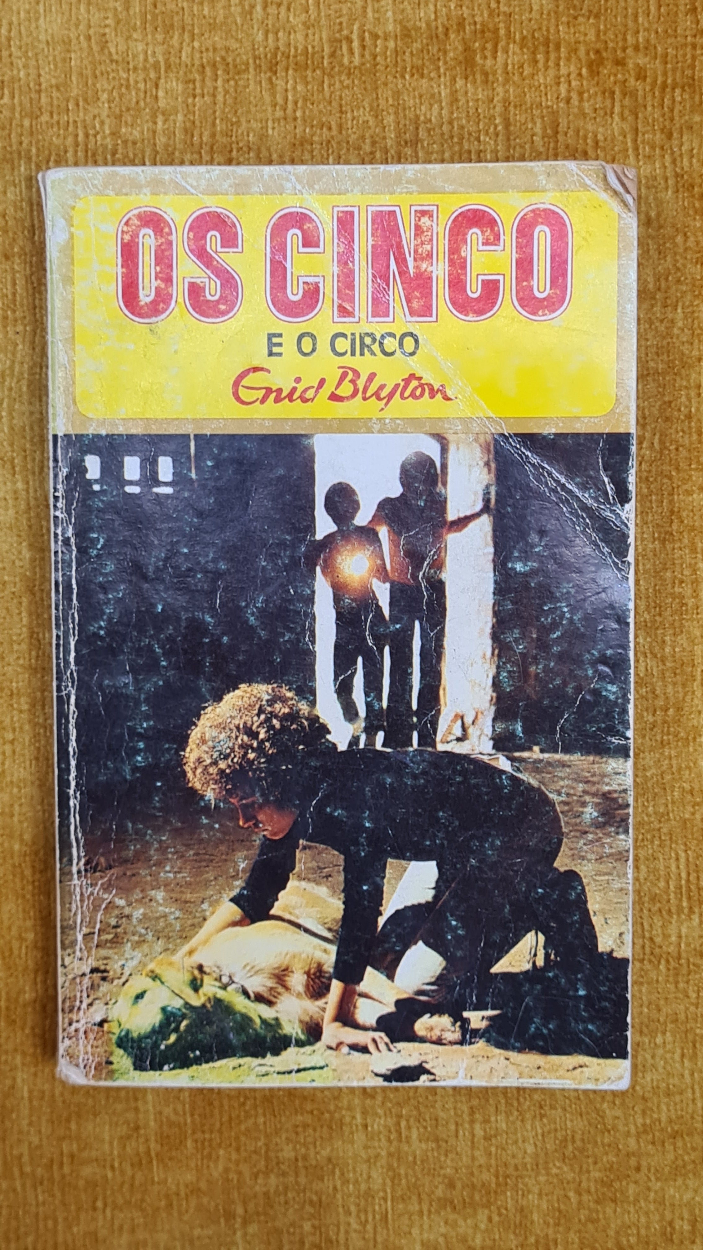 Five Go to the Circus - Youth Collection 5