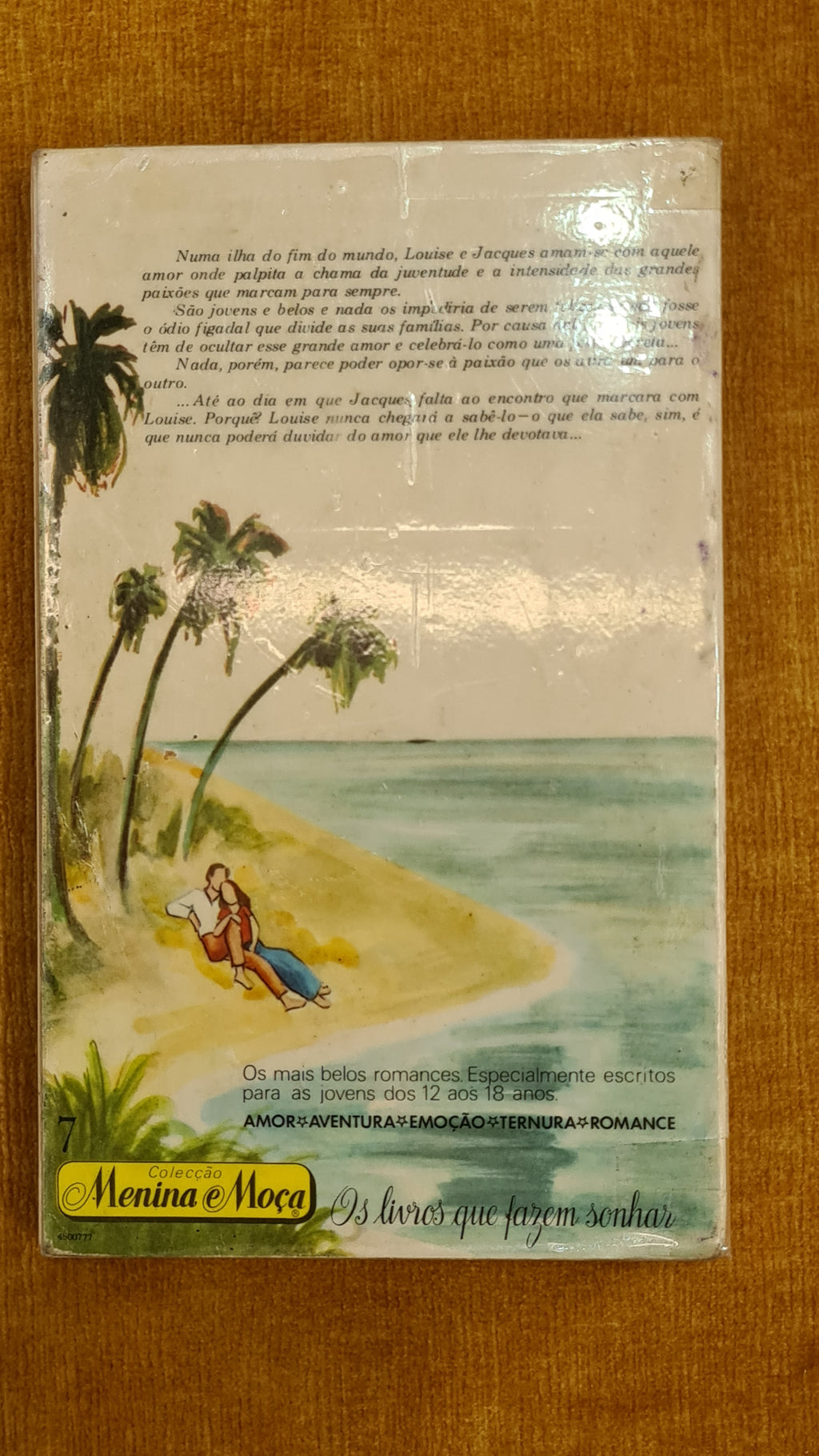 Aquela ilha no fim do mundo - Colecção Menina e Moça 7