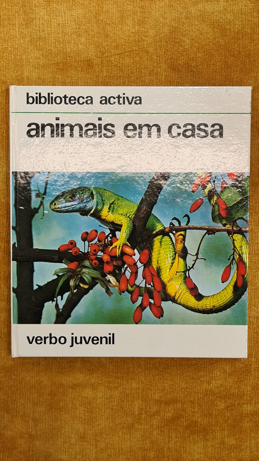 Animais em casa - Biblioteca Activa 4