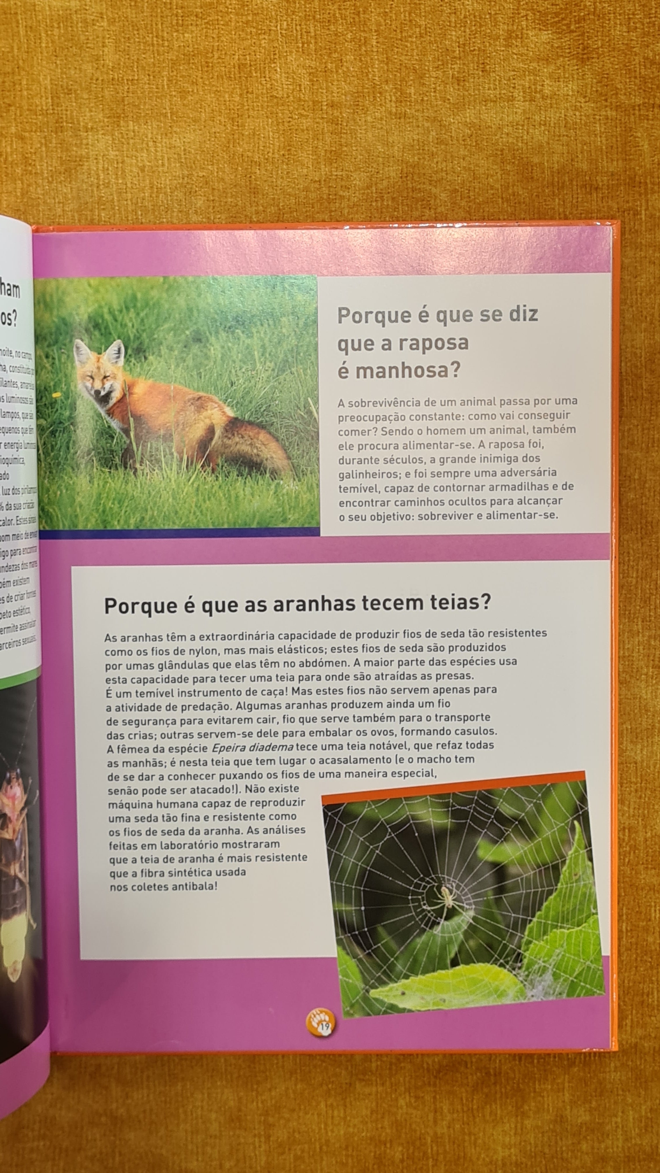 The Book of Whys: 75 Fascinating Questions About Animals