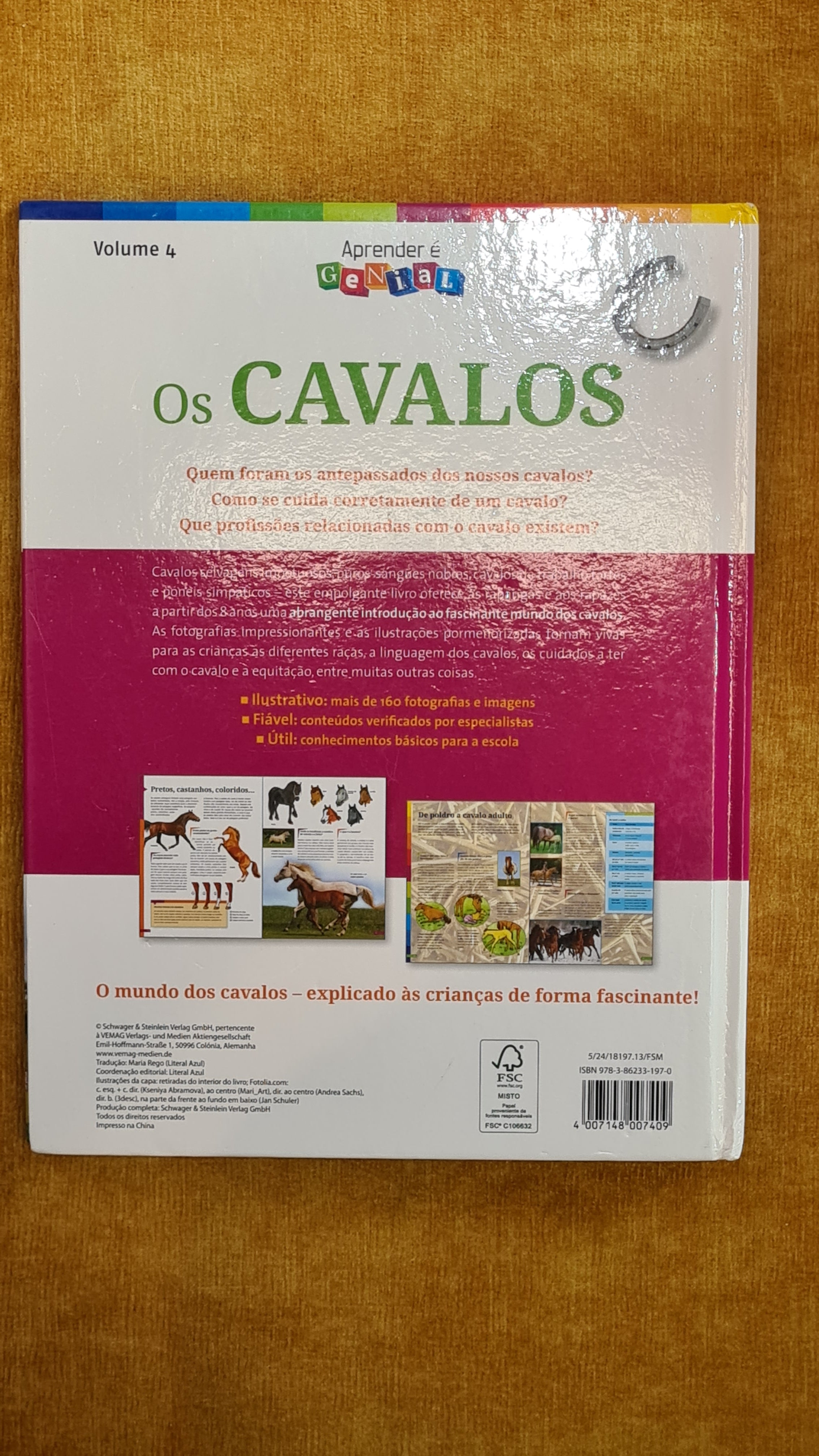Horses - Learning is Awesome 4