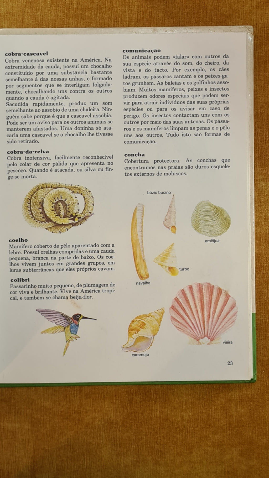 Dicionário ilustrado da natureza